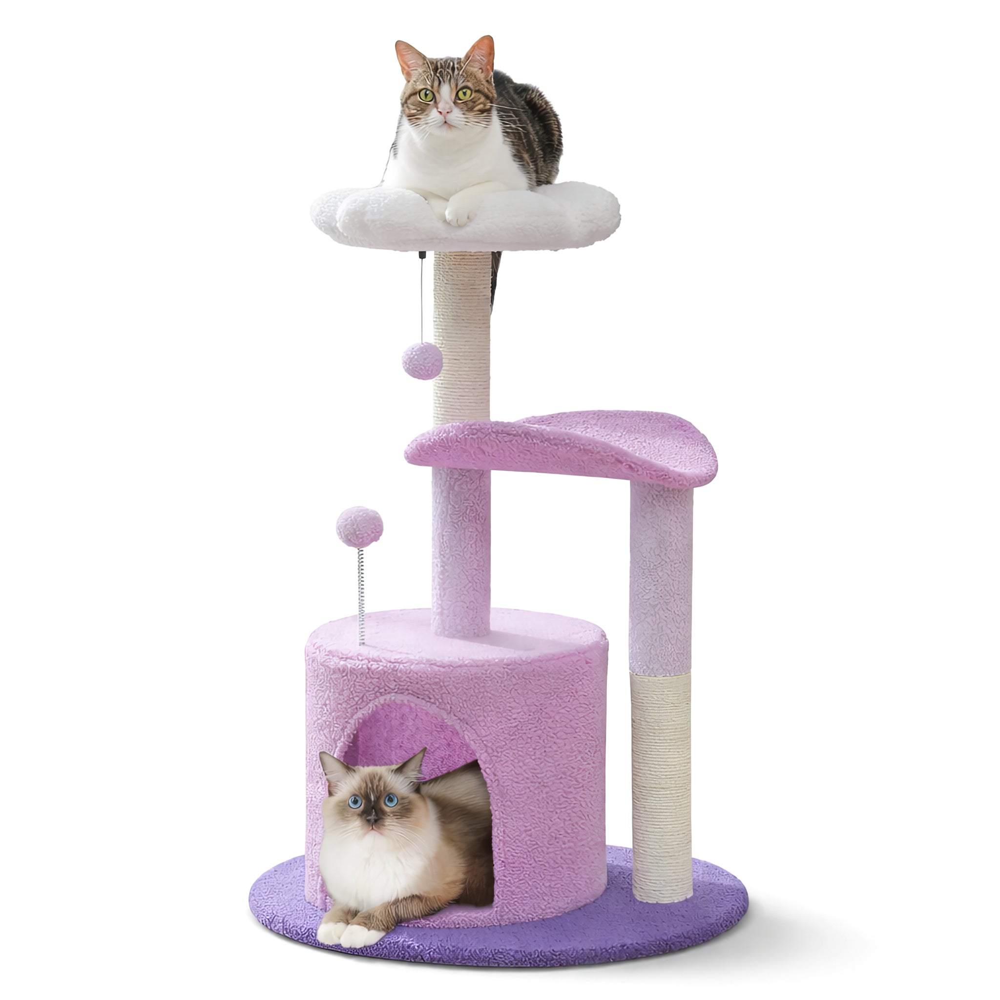 Arbre à Chat Fleur Blanche