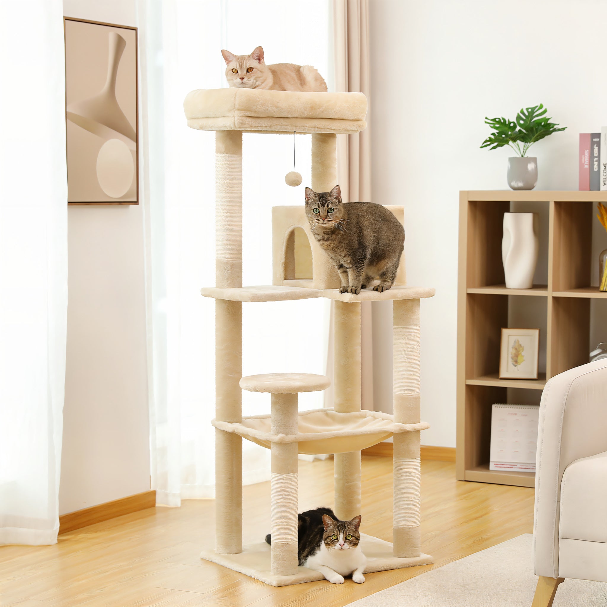 Arbre à Chat Grand Modèle