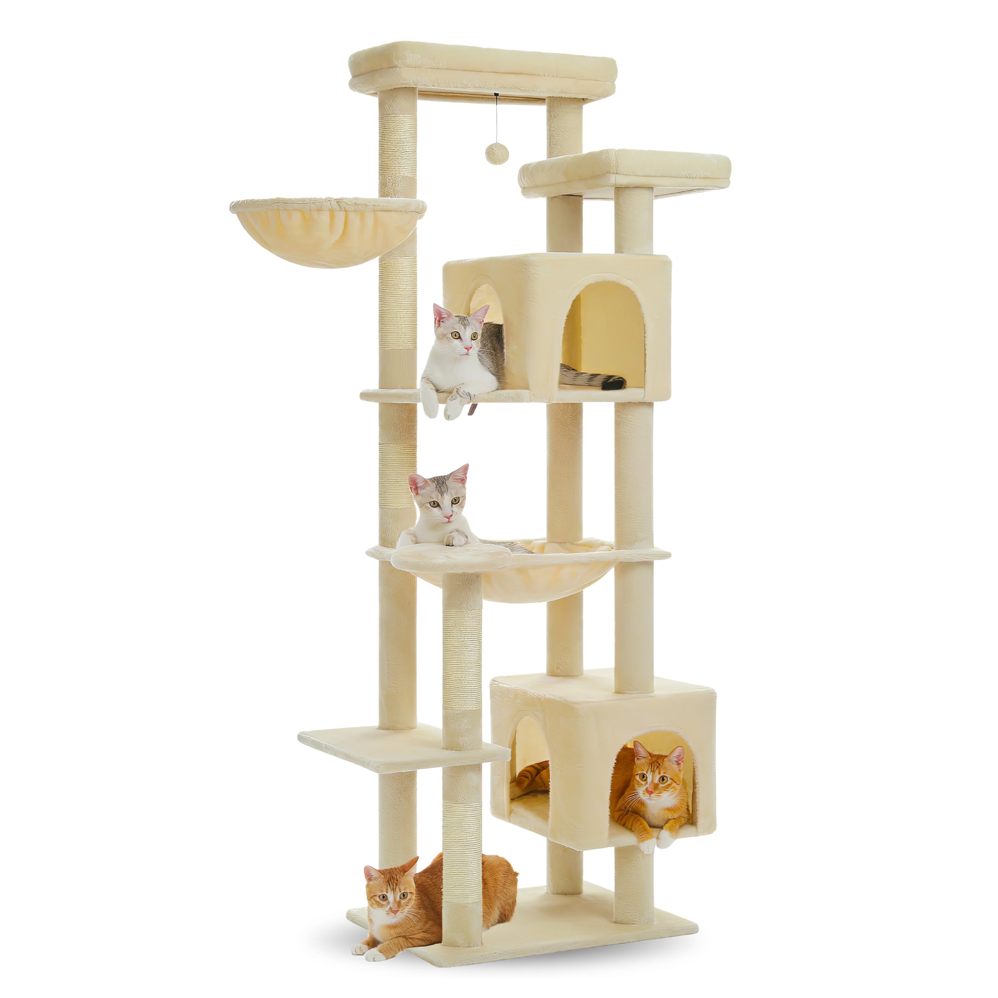 Arbre à Chat Taille XXL