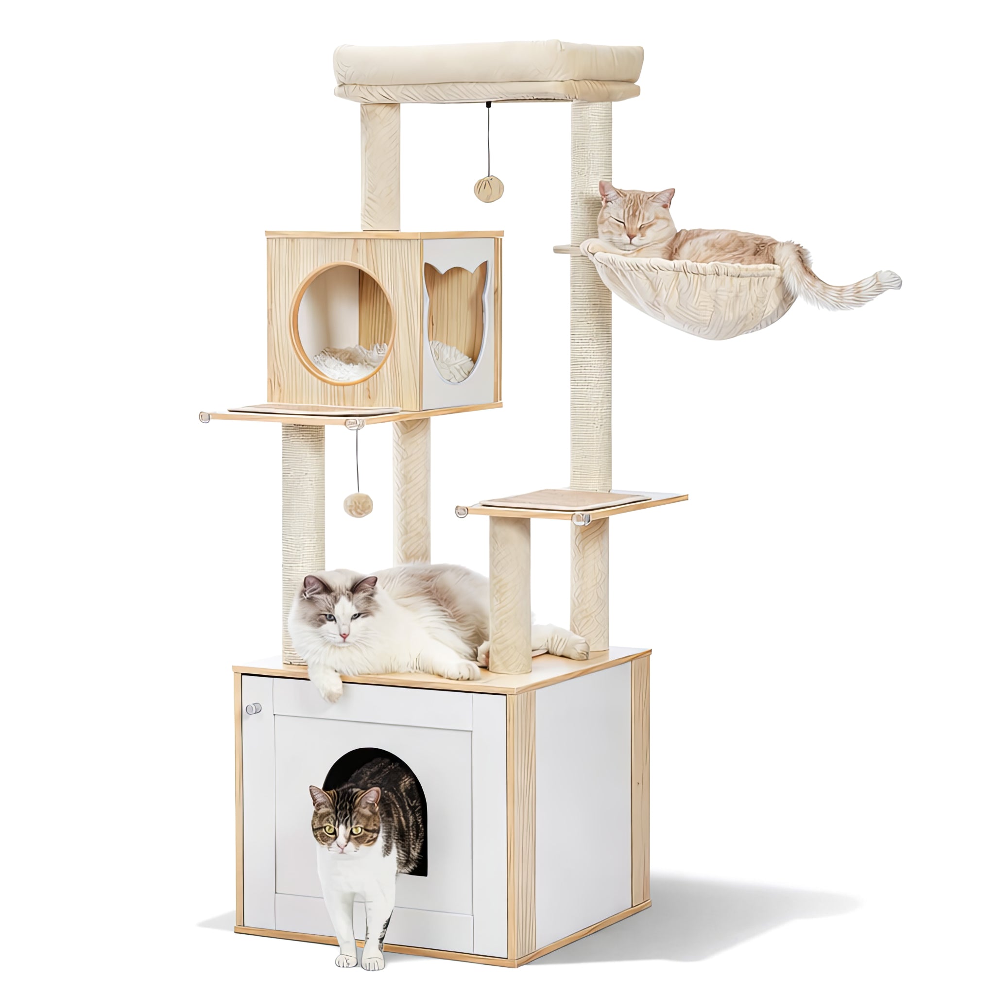 Arbre à Chat en Bois avec Litière