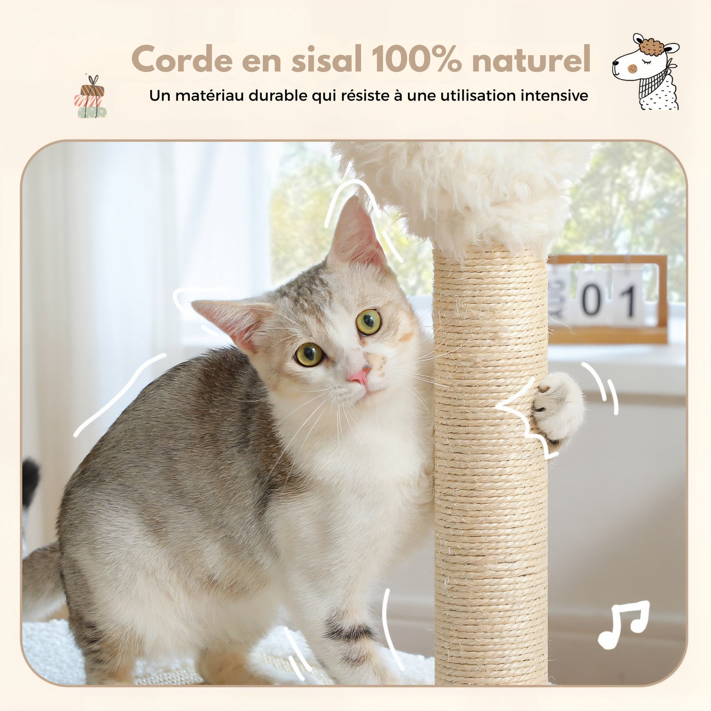 Arbre à Chat Lama