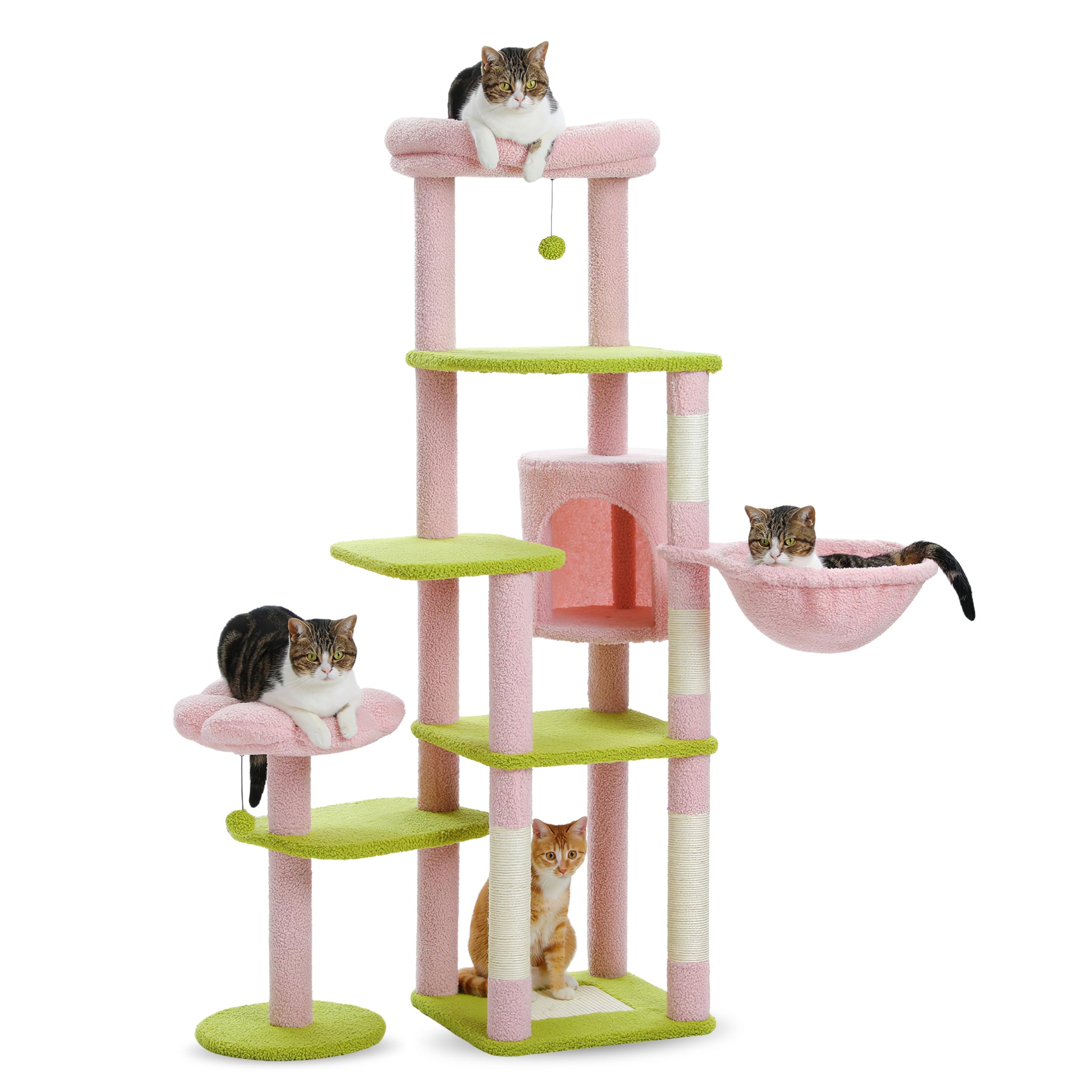 Grand Arbre à Chat Fleur