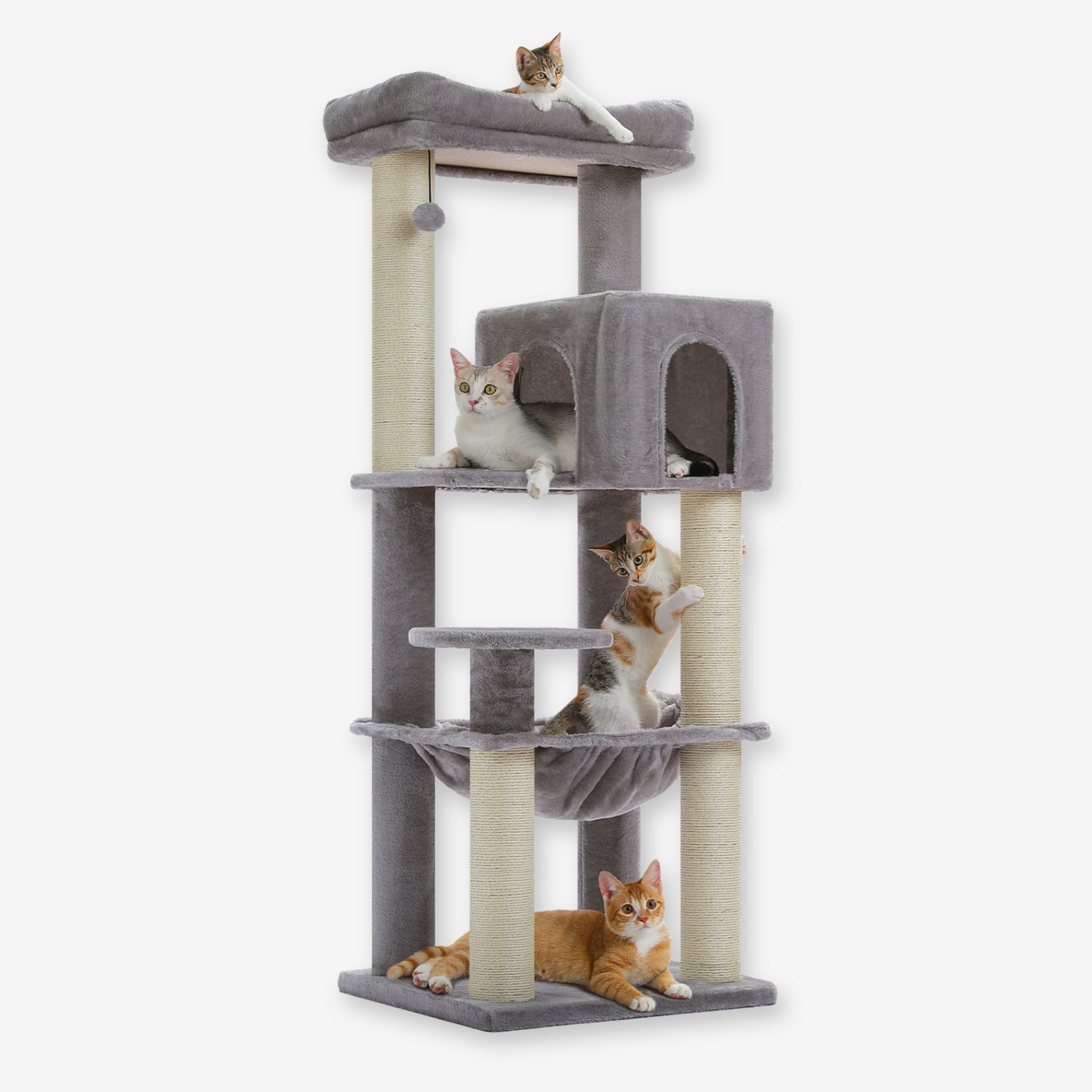 Grand Arbre à Chat Résistant