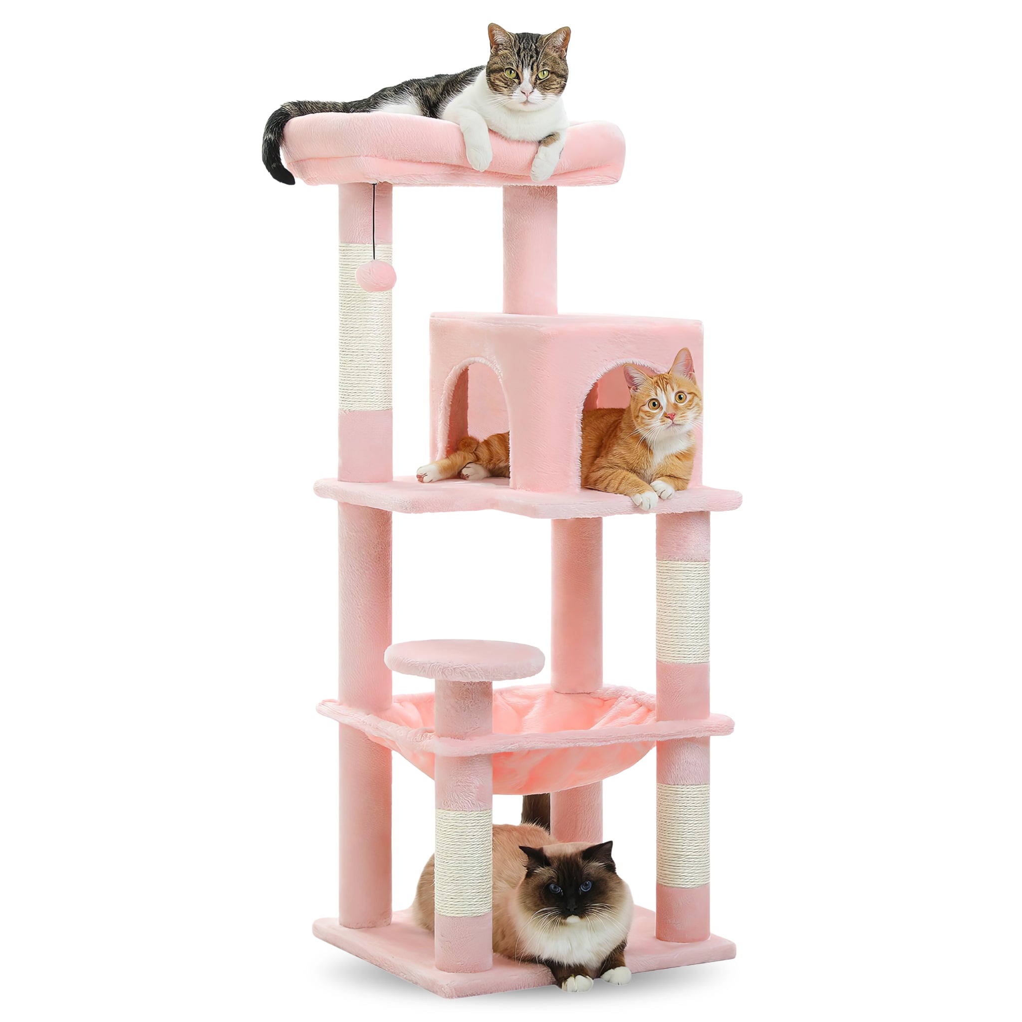 Grand Arbre à Chat Stable