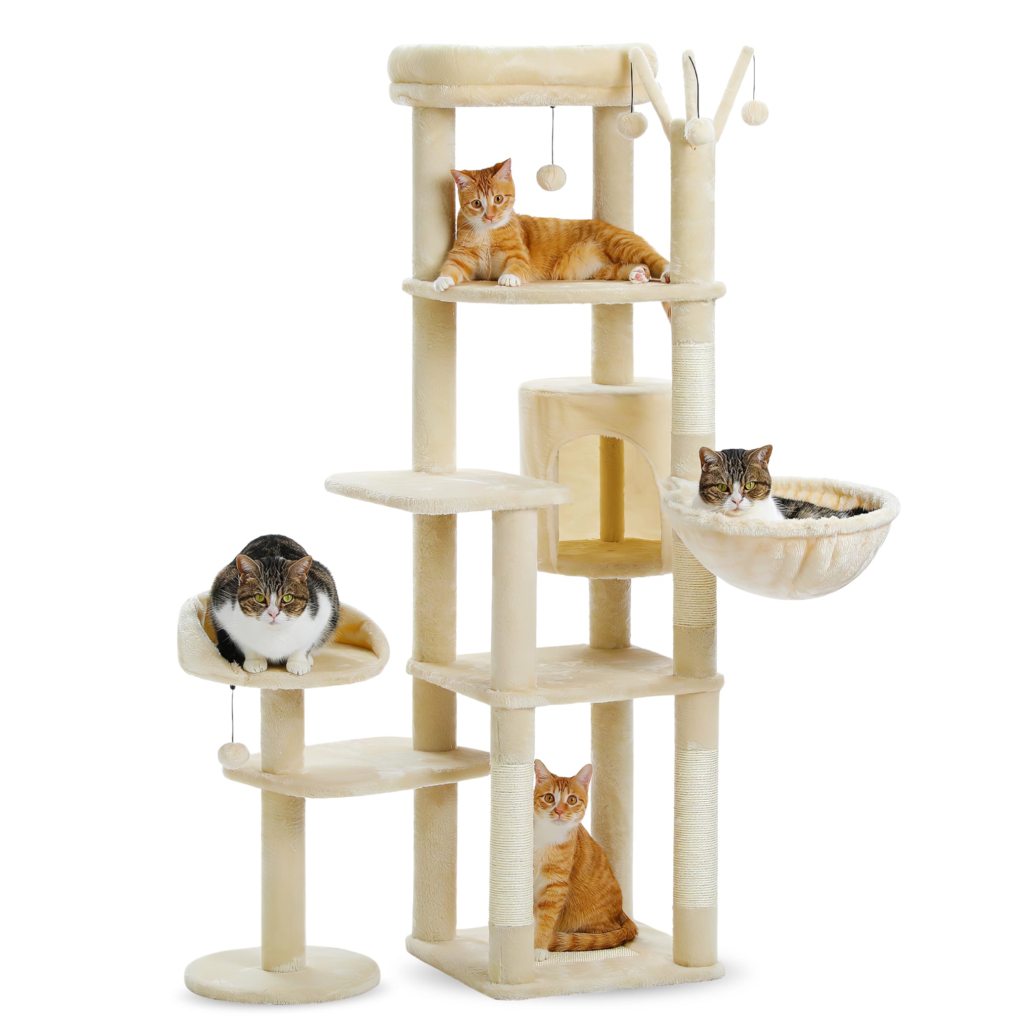 Grand Arbre à Chat pour Gros Chat