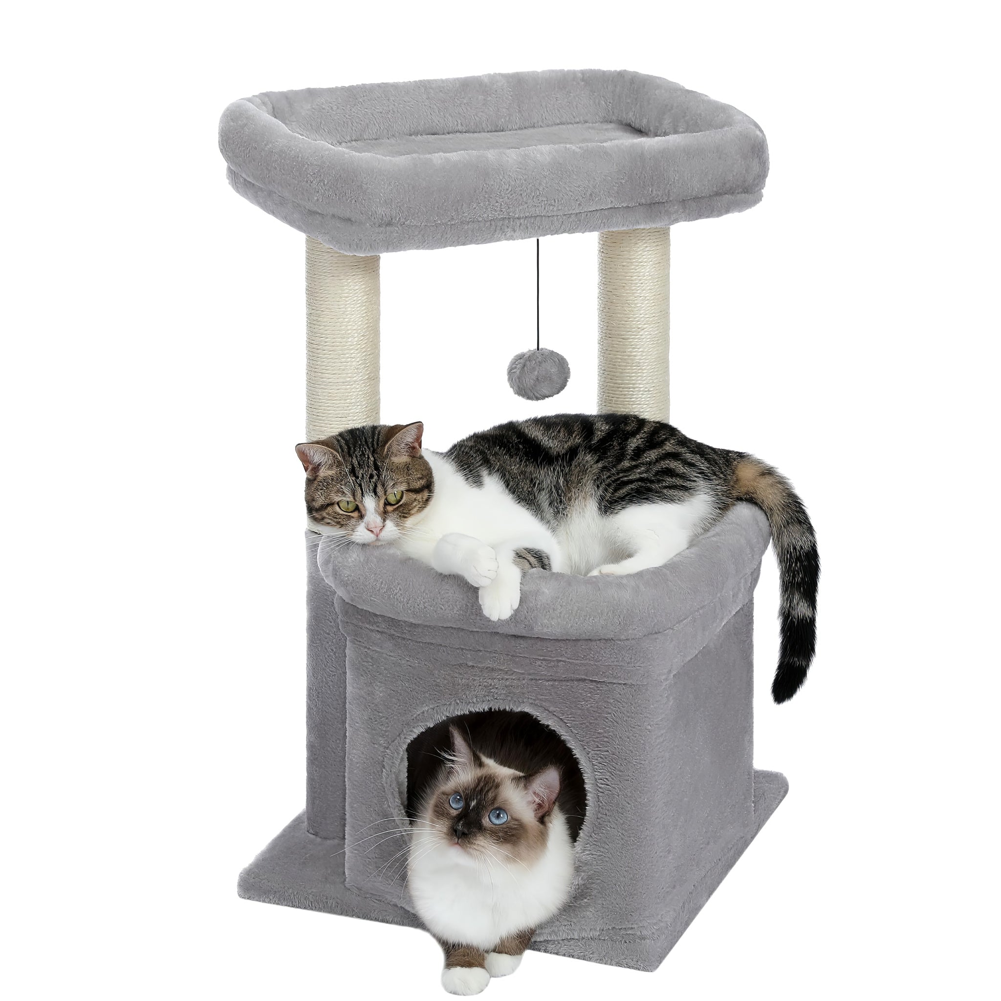 Petit Arbre à Chat avec Cabane