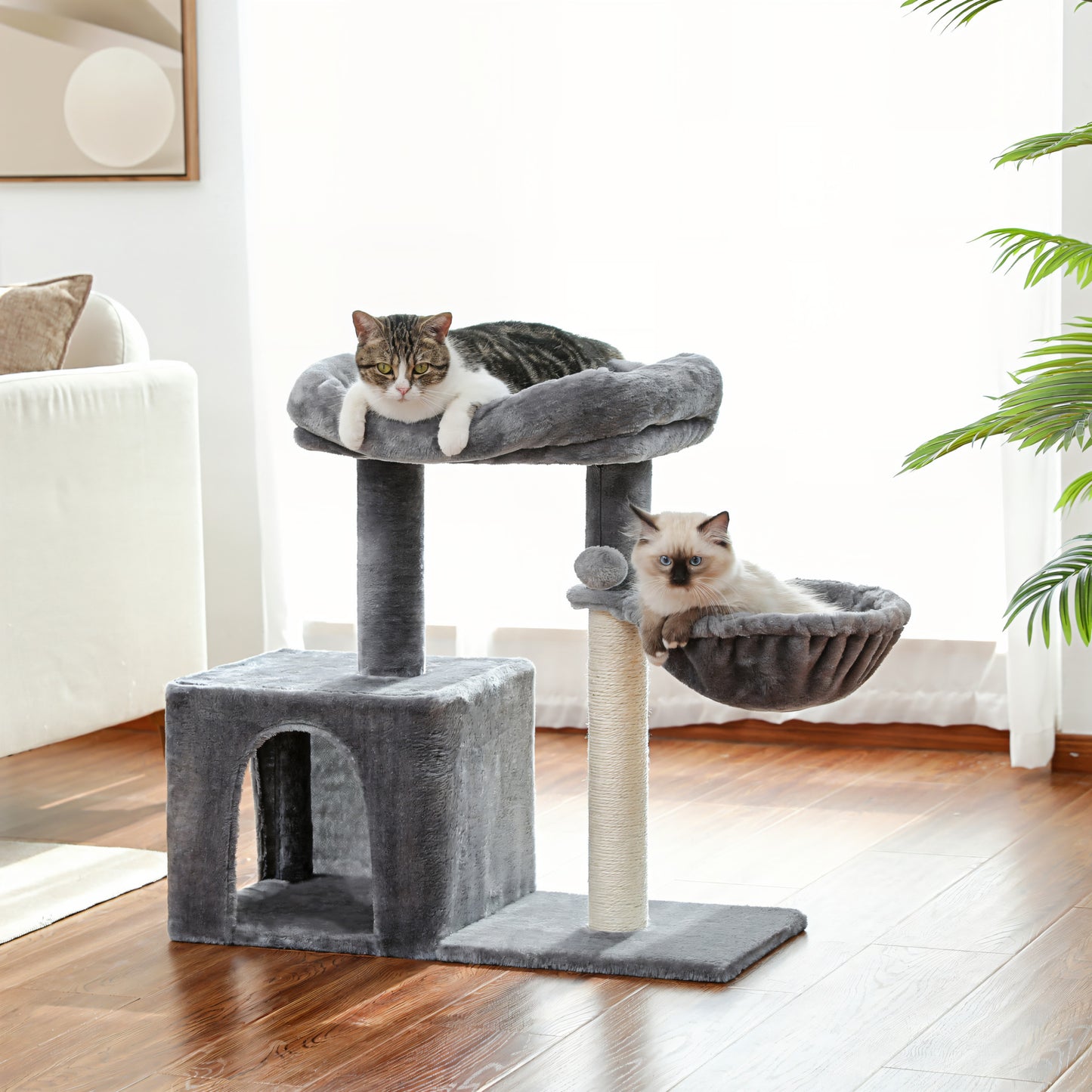 Petit Arbre à Chat avec Hamac