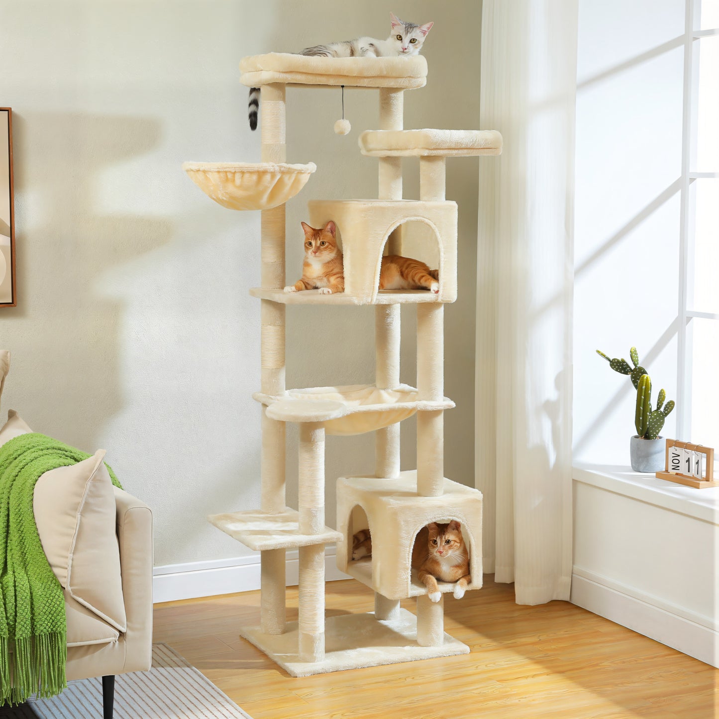 Arbre à Chat avec Hamac