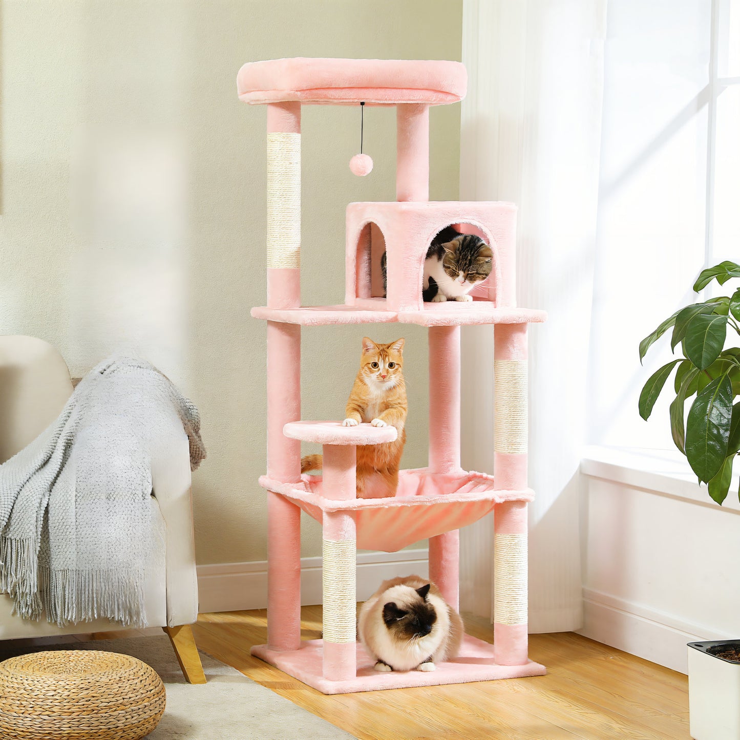 Arbre à Chat de Couleur Rose