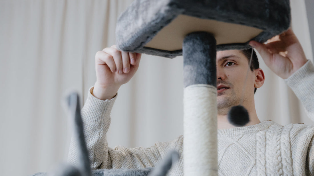 Comment nettoyer un arbre à chat