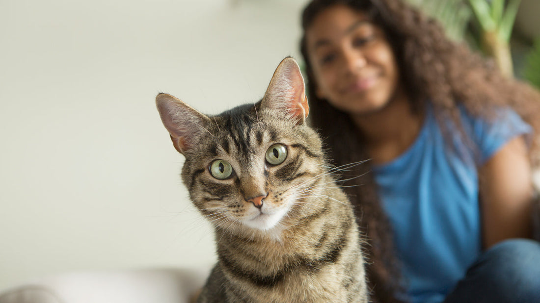 Combien de temps vit un chat ?