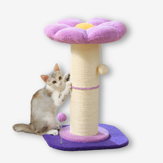 PETALY - Fleur Arbre à Chat
