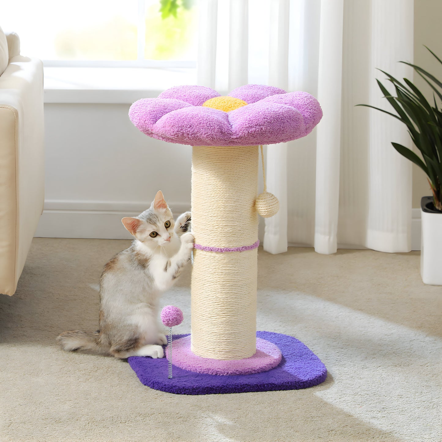 PETALY - Fleur Arbre à Chat