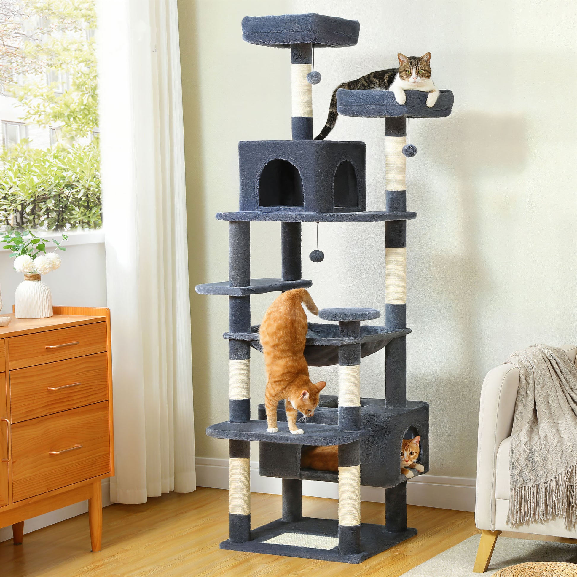 Arbre à Chat Adulte