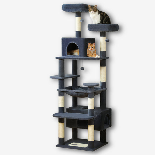 Arbre à Chat Adulte