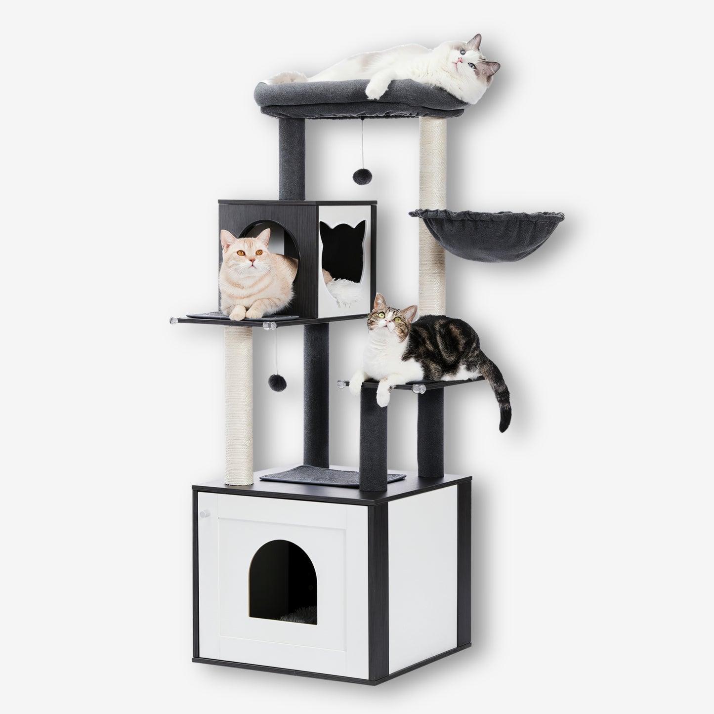 Arbre à Chat Caisse en Bois