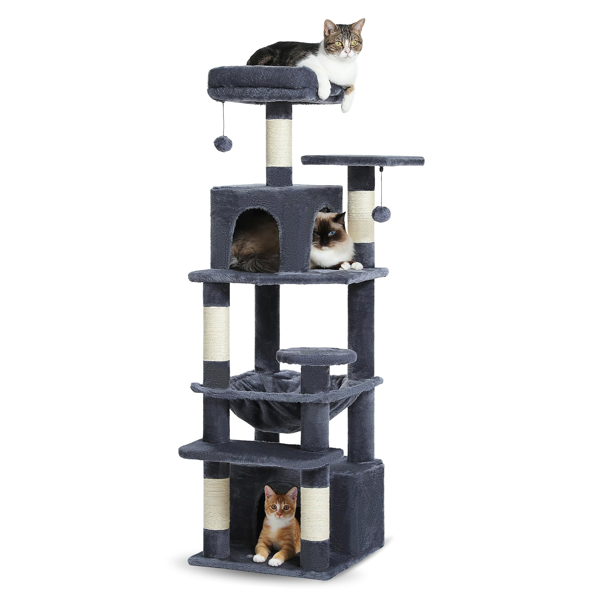 Arbre à Chat Gris Grand Format