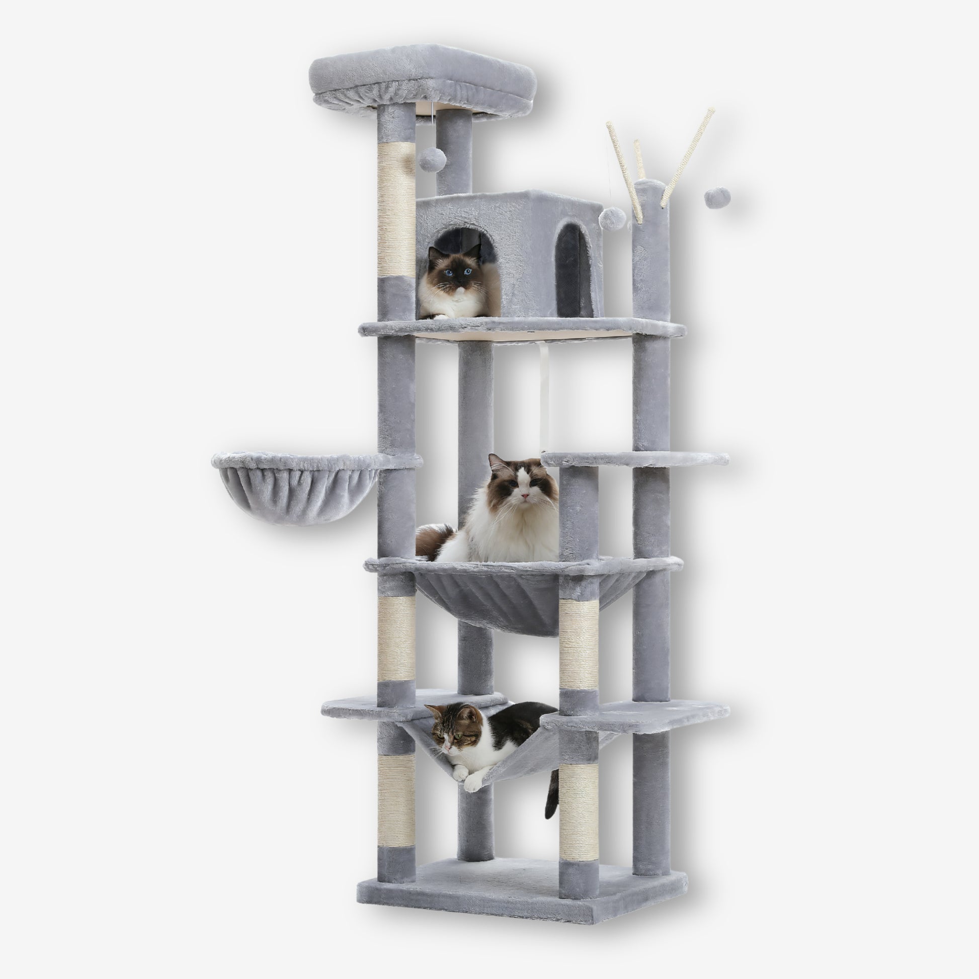 Arbre à Chat XXL Gros Chat