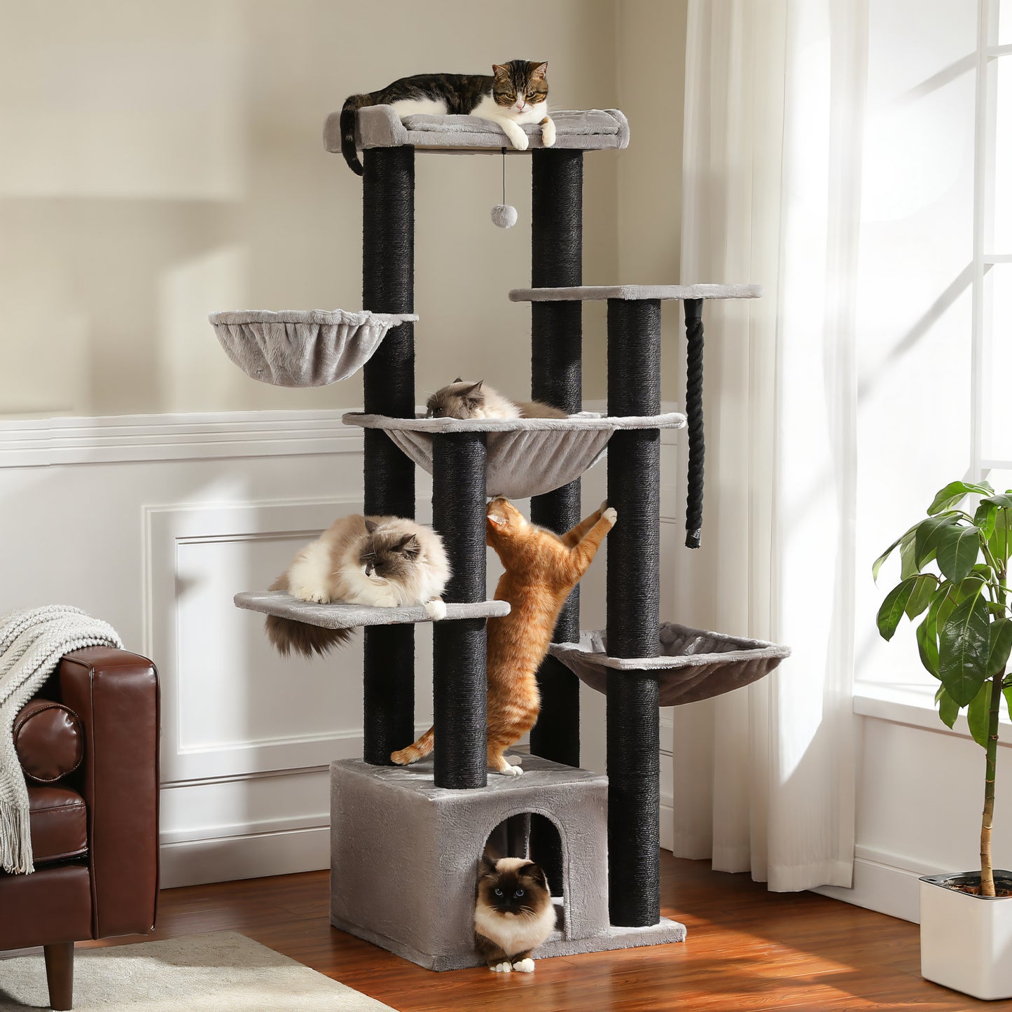 Arbre à Chat XXL pour Maine Coon