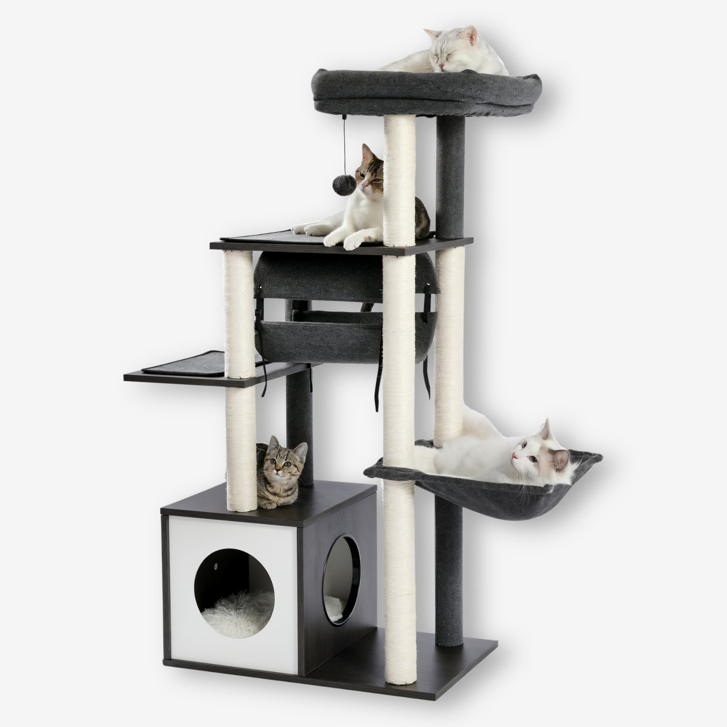 Arbre à Chat en Bois Design