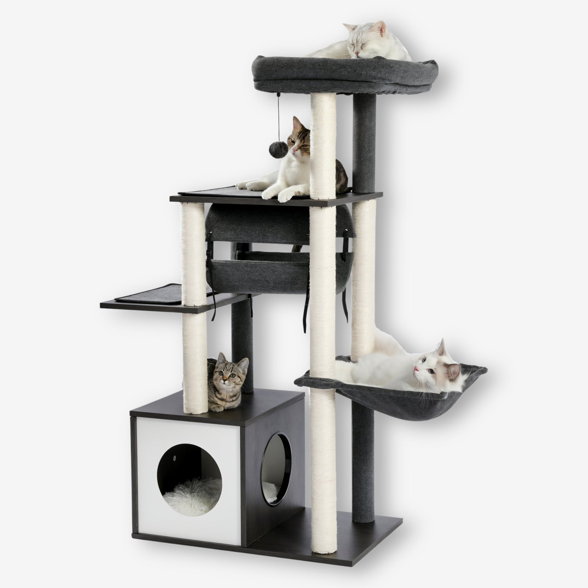 Arbre à Chat en Bois Design