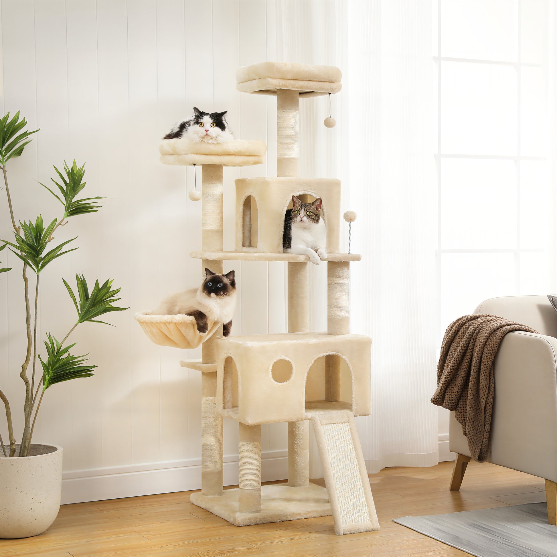 Arbre à Chat XXL Plusieurs Chats