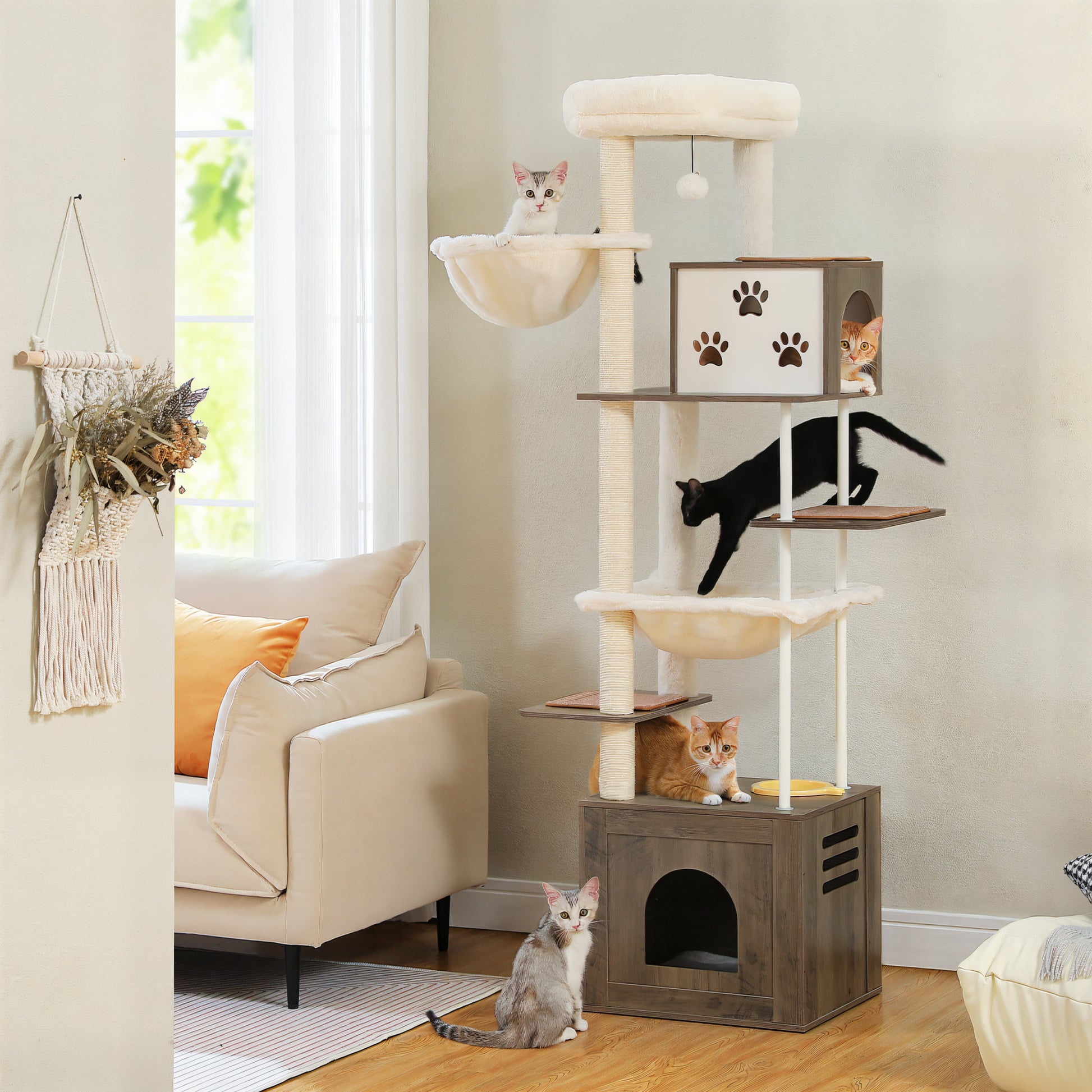 Arbre à Chat avec Caisse en Bois