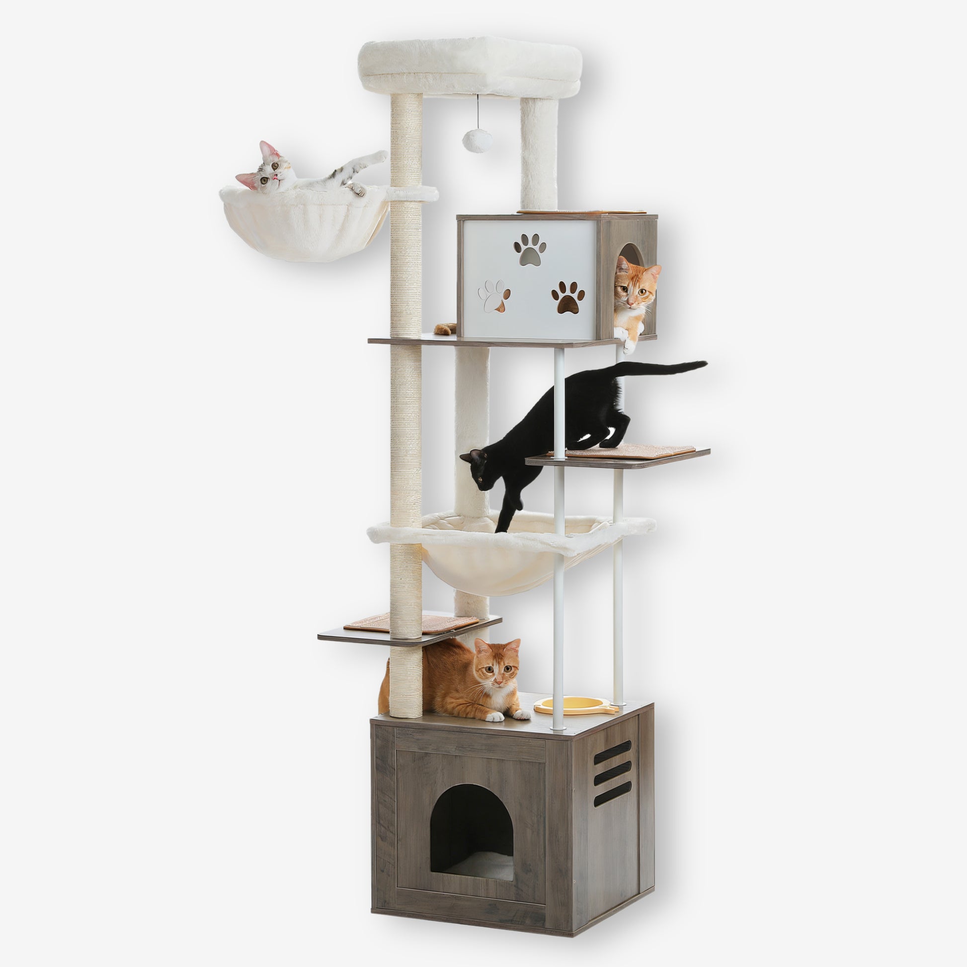 Arbre à Chat avec Caisse en Bois
