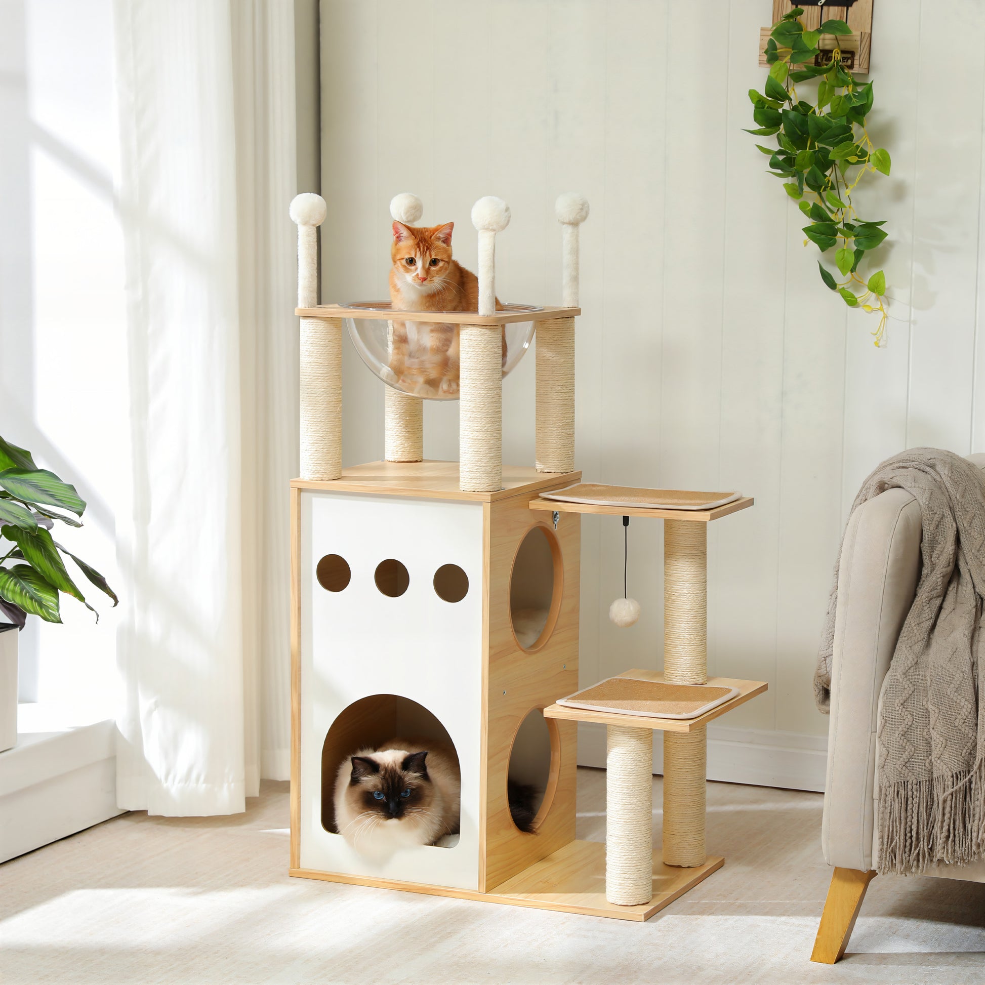 Arbre à Chat Beige Bois