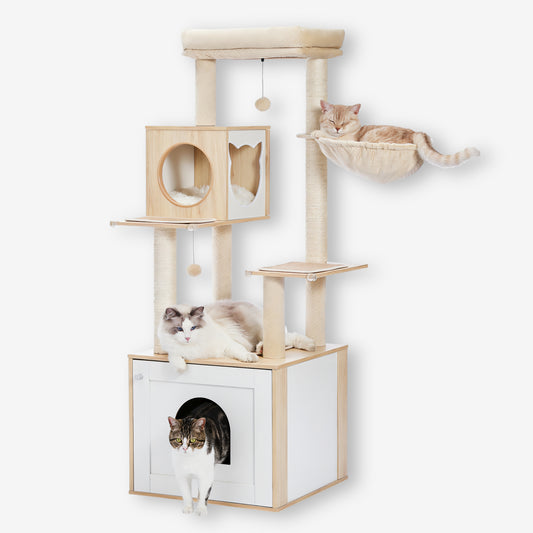 Arbre à Chat Blanc et Bois