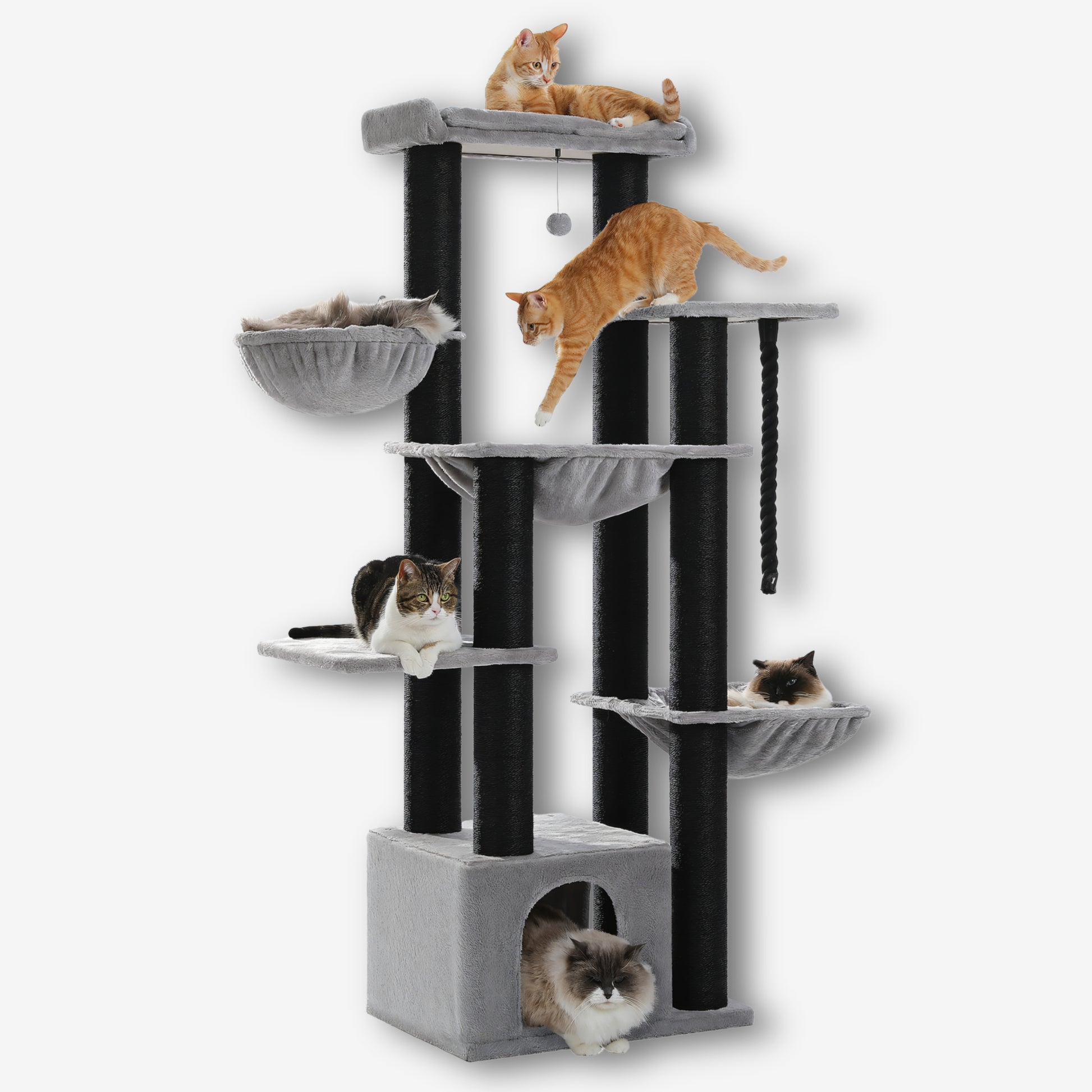 Arbre à Chat Gris et Noir