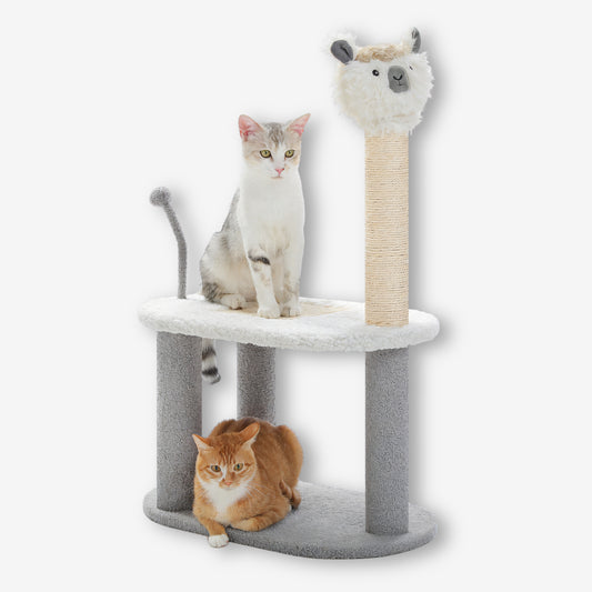 Arbre à Chat Lama