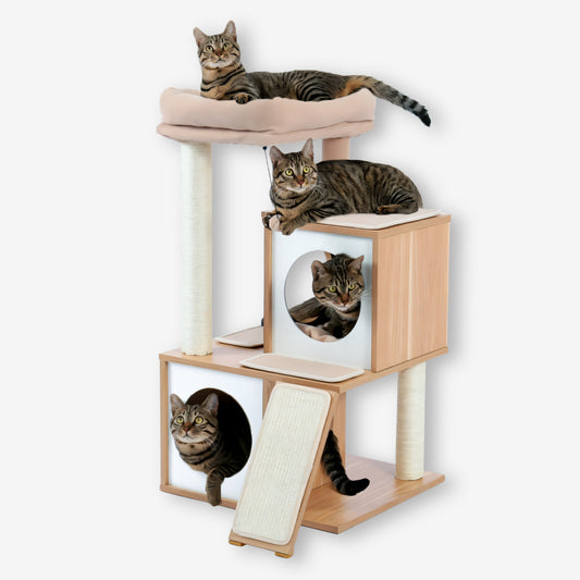 Arbre à Chat Moderne Bois