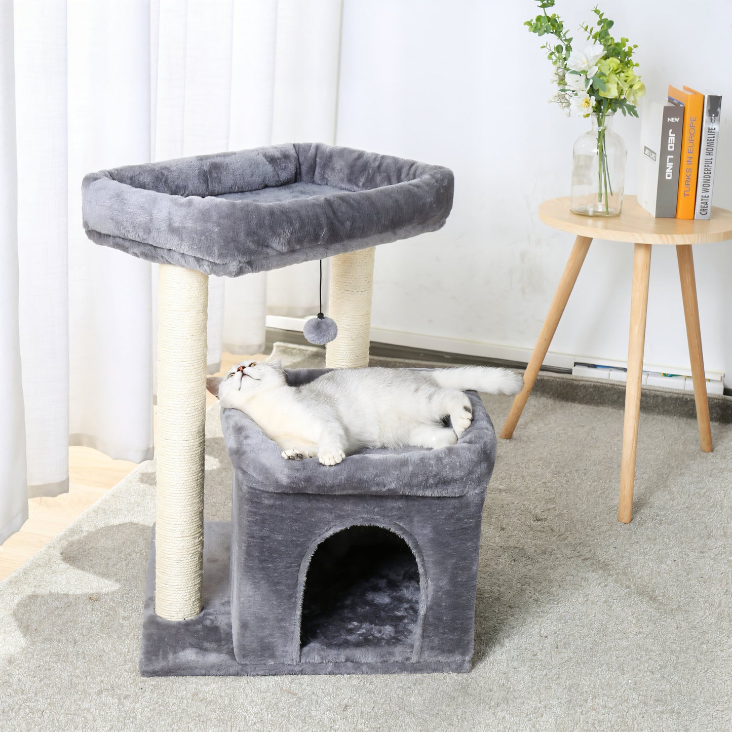 Arbre à Chat Petit