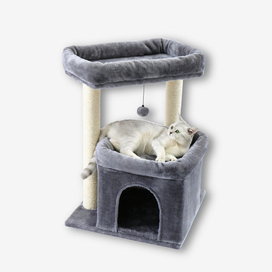 Arbre à Chat Petit