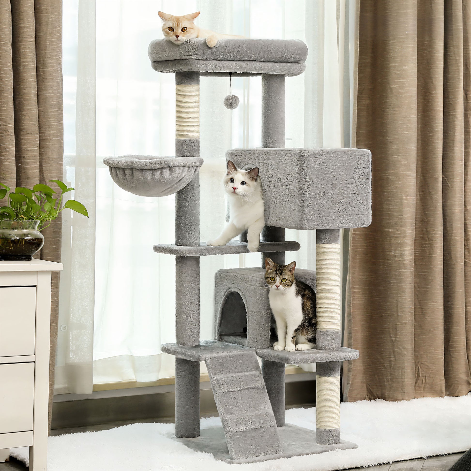 Arbre à Chat pour Plusieurs Chats