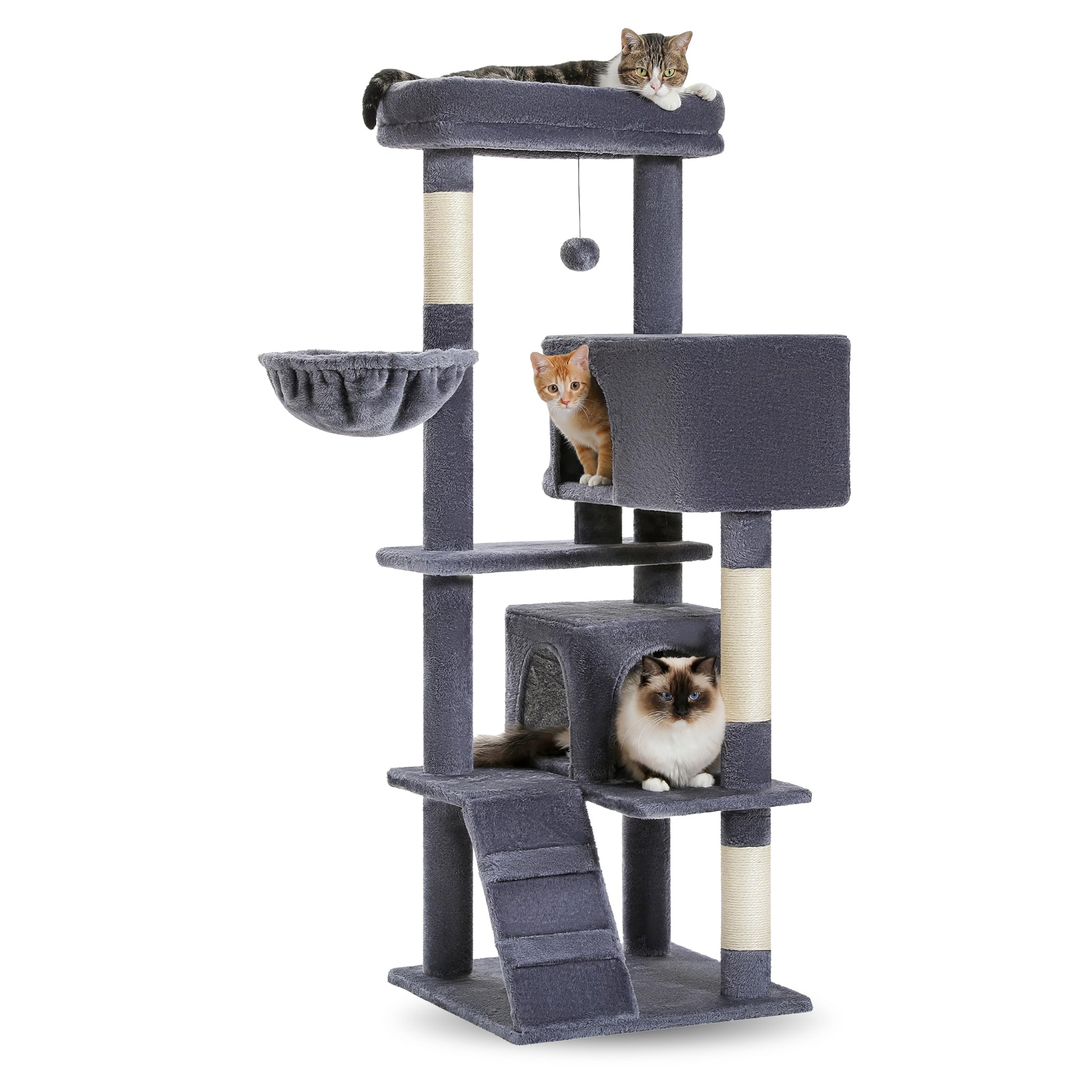 Grand Arbre à Chat Adulte