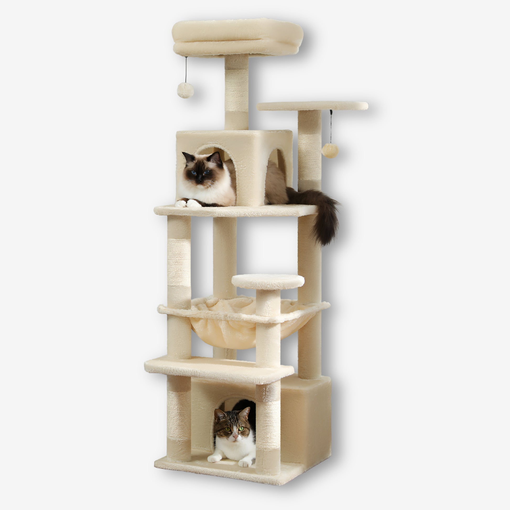 Grand Arbre à Chat Beige