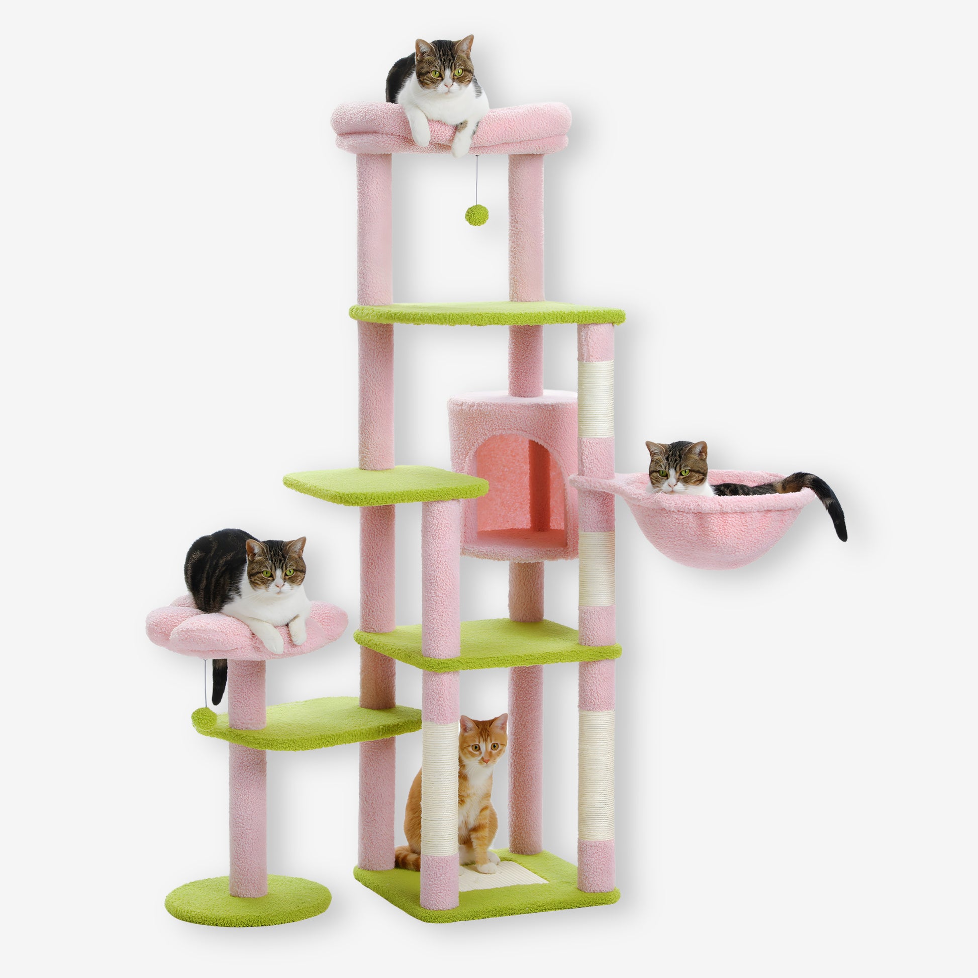 Grand Arbre à Chat Fleur