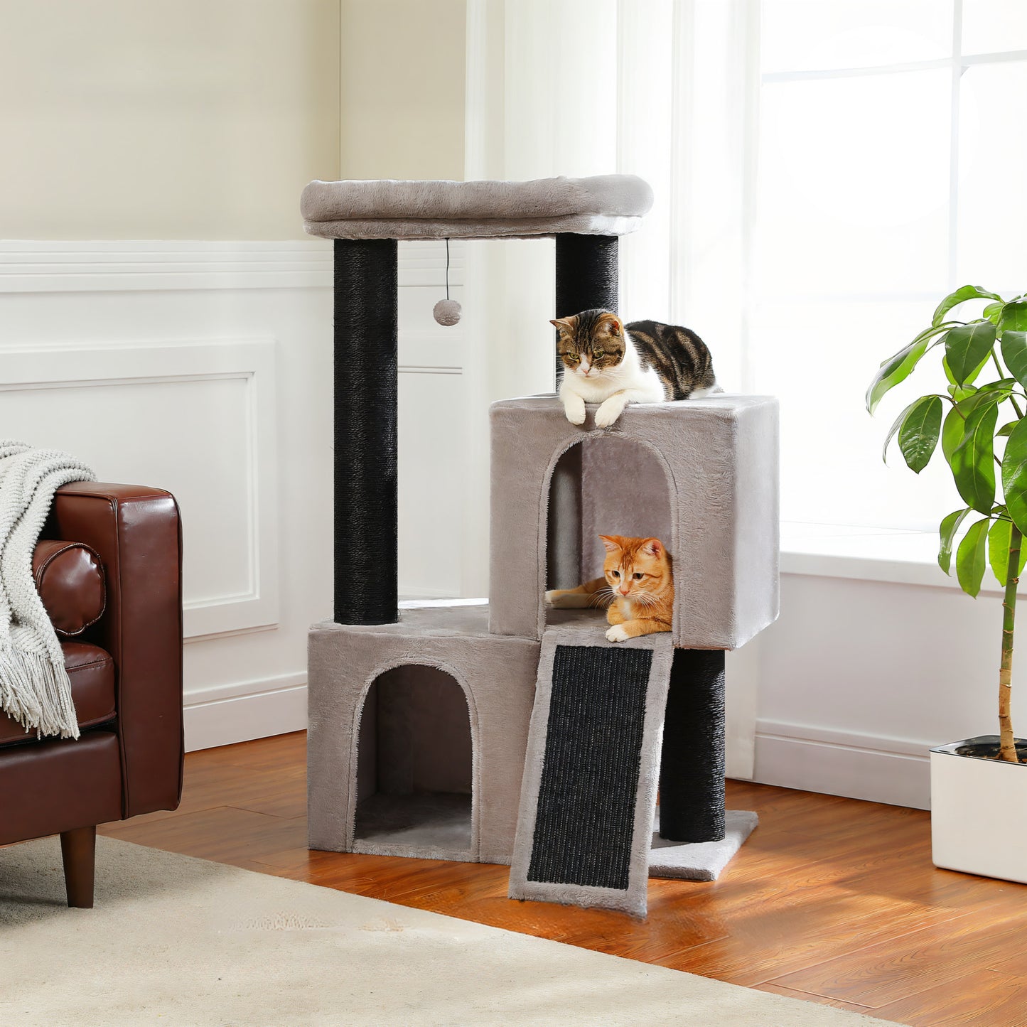 Grand Arbre à Chat Griffoir