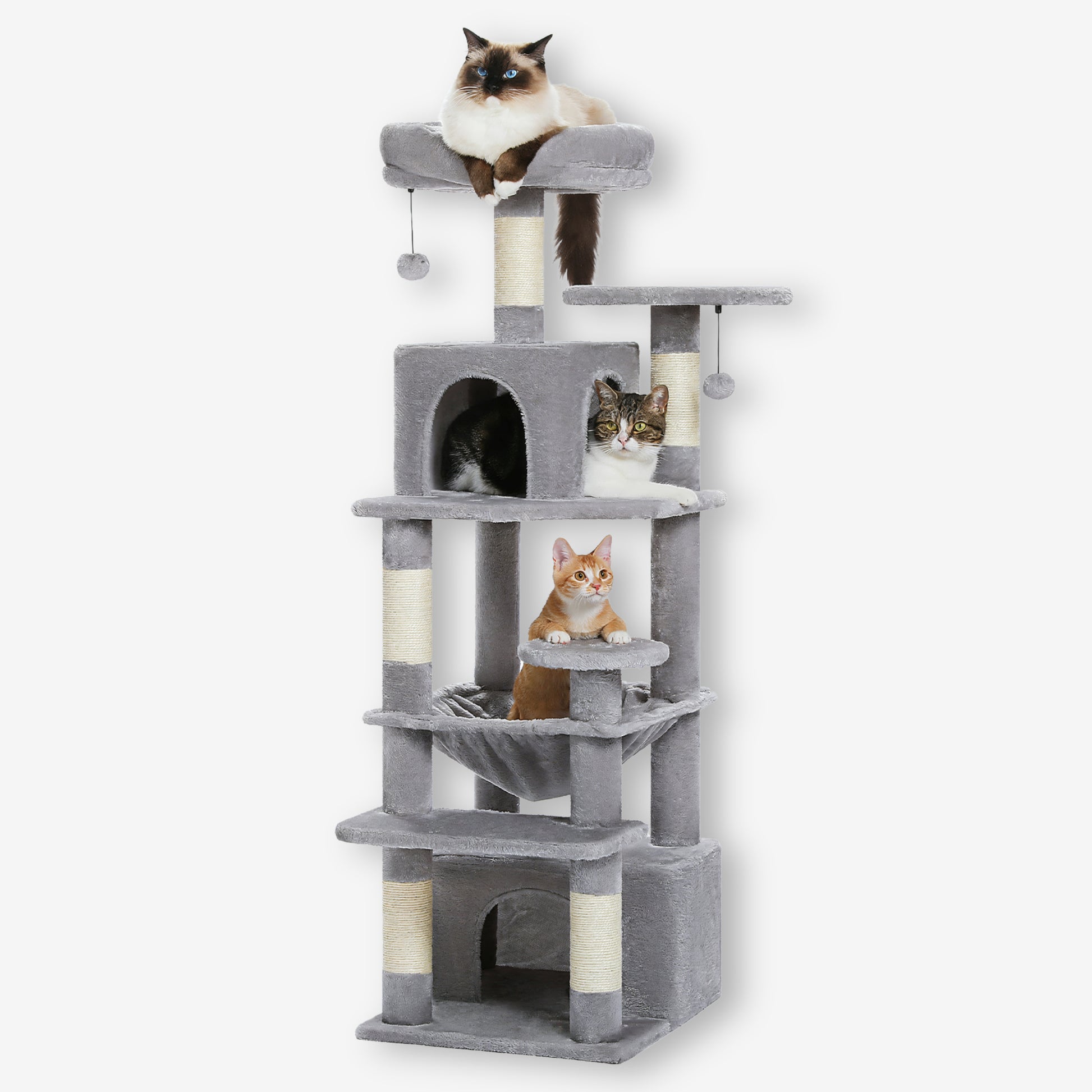 Grand Arbre à Chat Gris