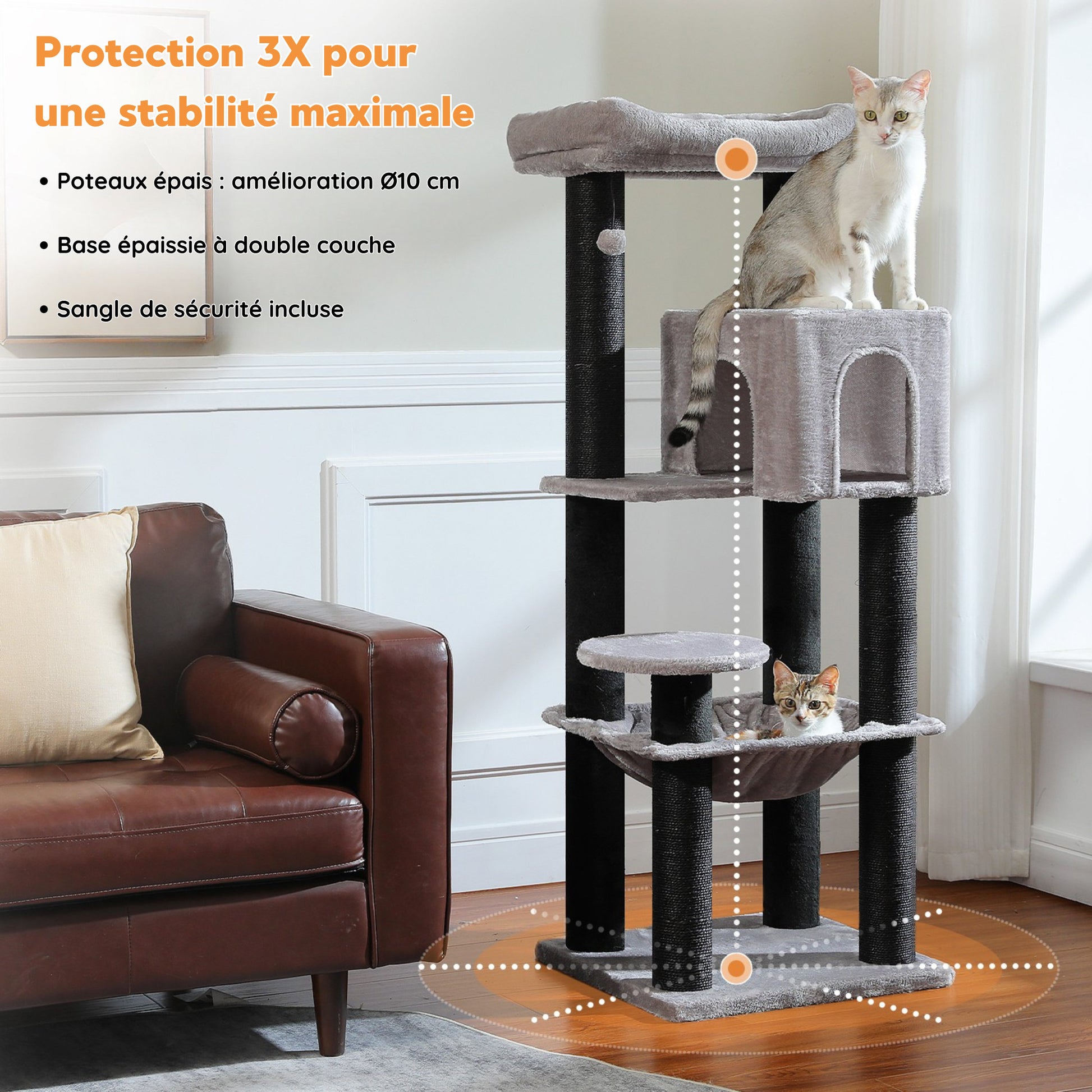 Grand Arbre à Chat Résistant