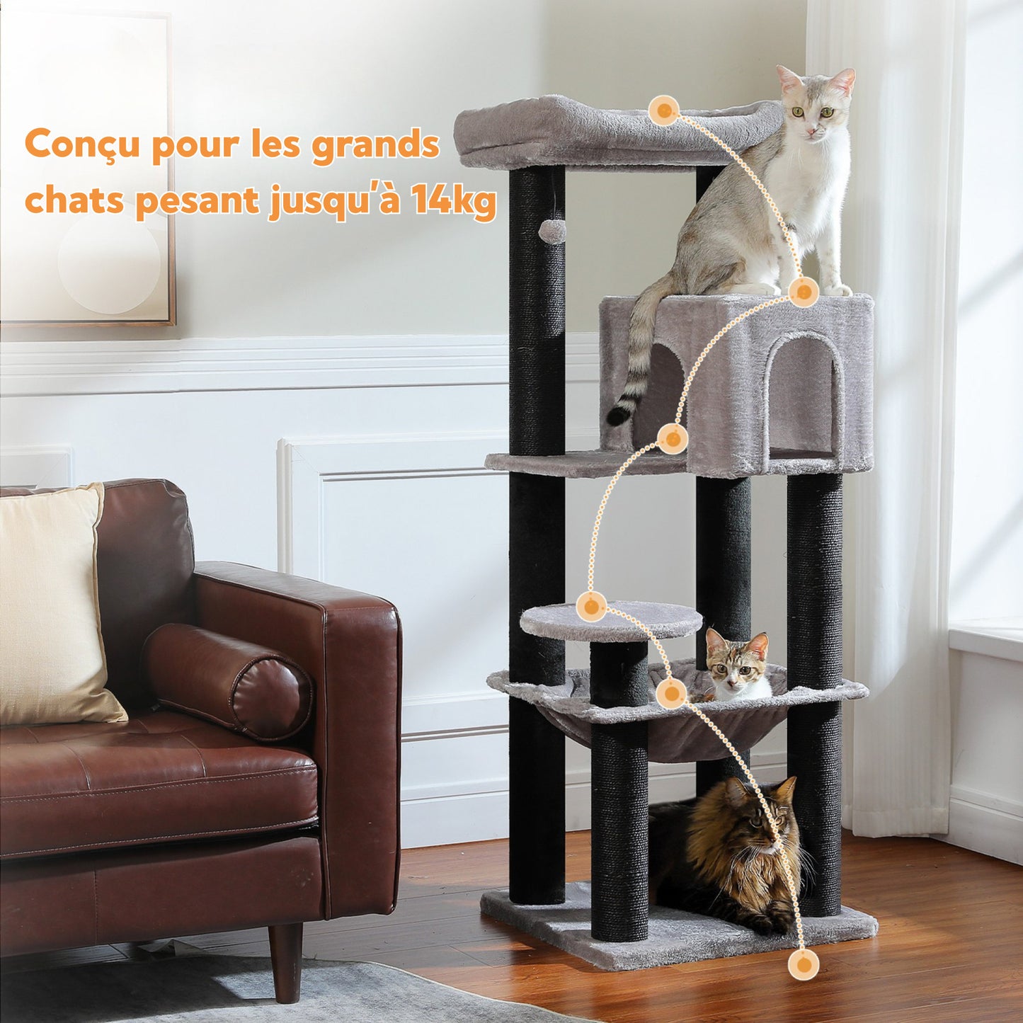 Grand Arbre à Chat Résistant