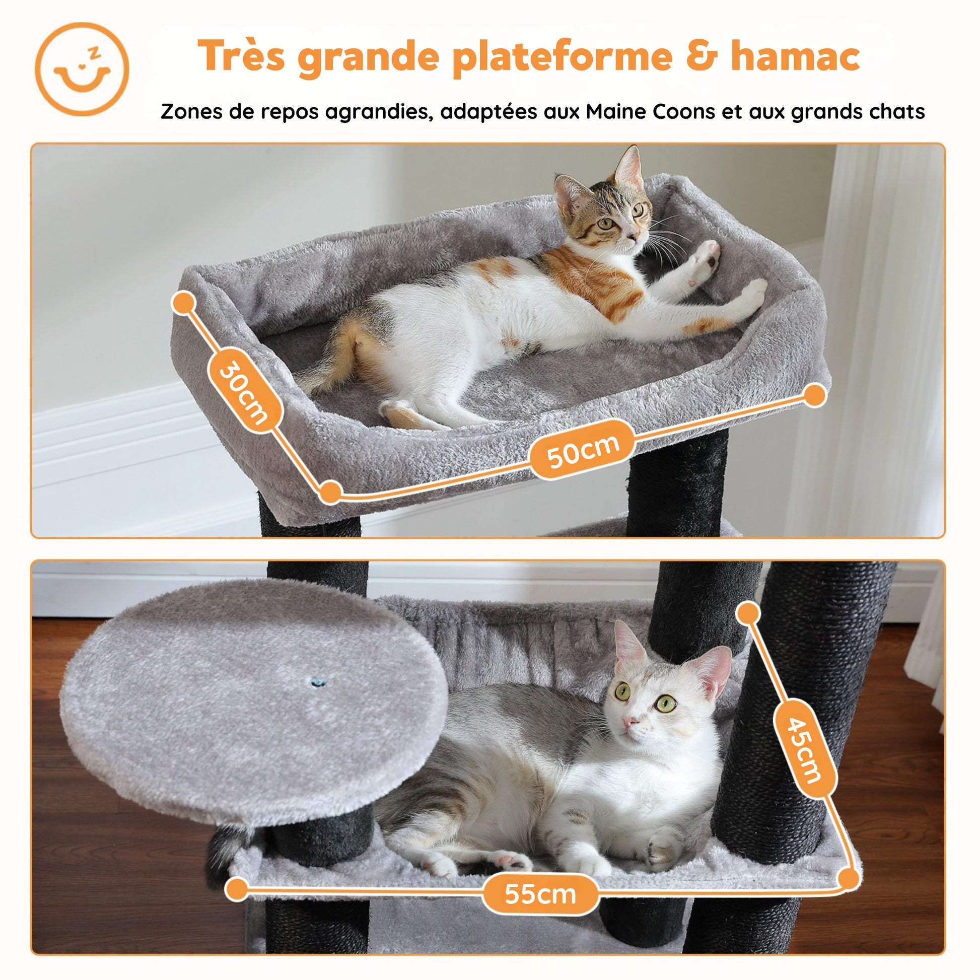 Grand Arbre à Chat Résistant