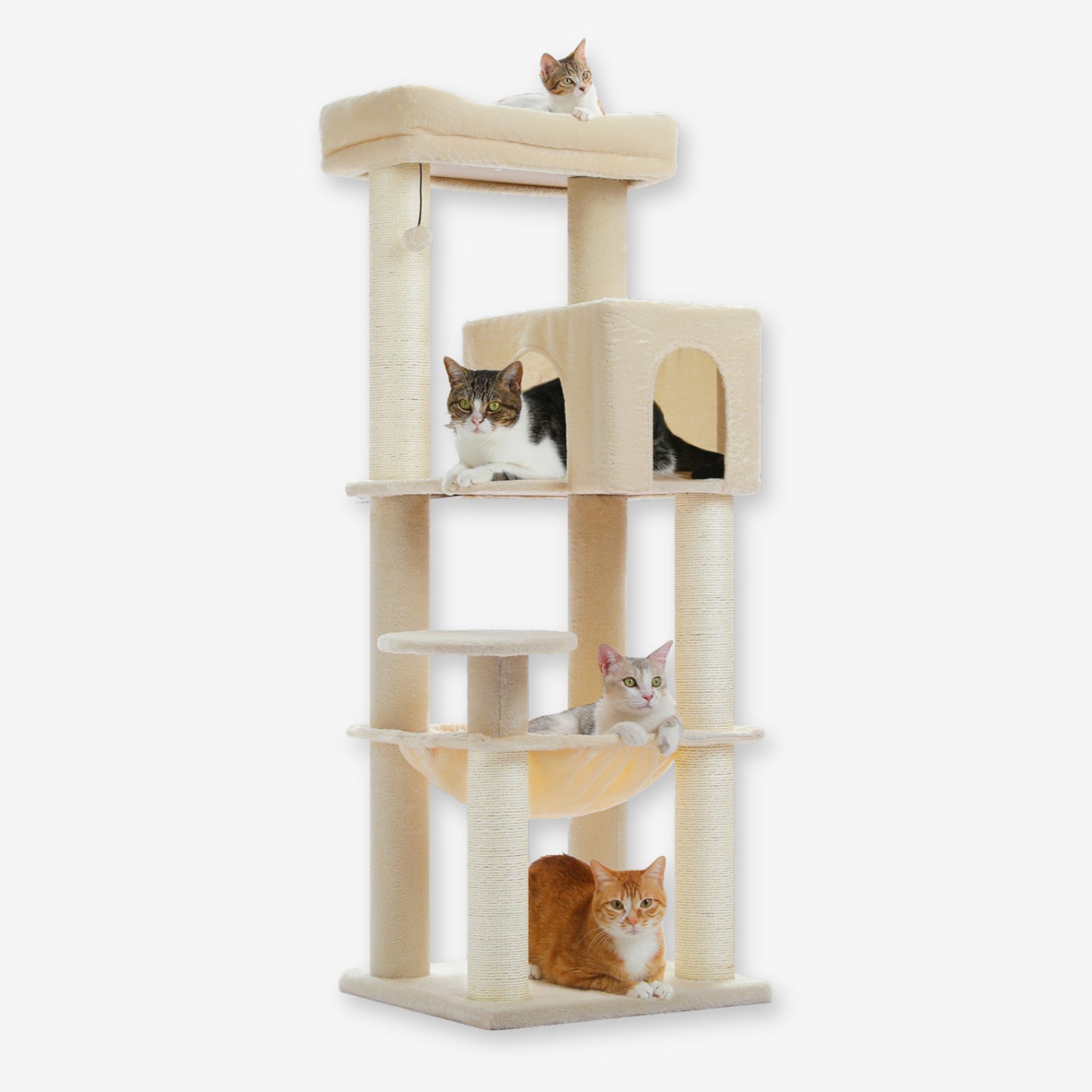 Grand Arbre à Chat Résistant