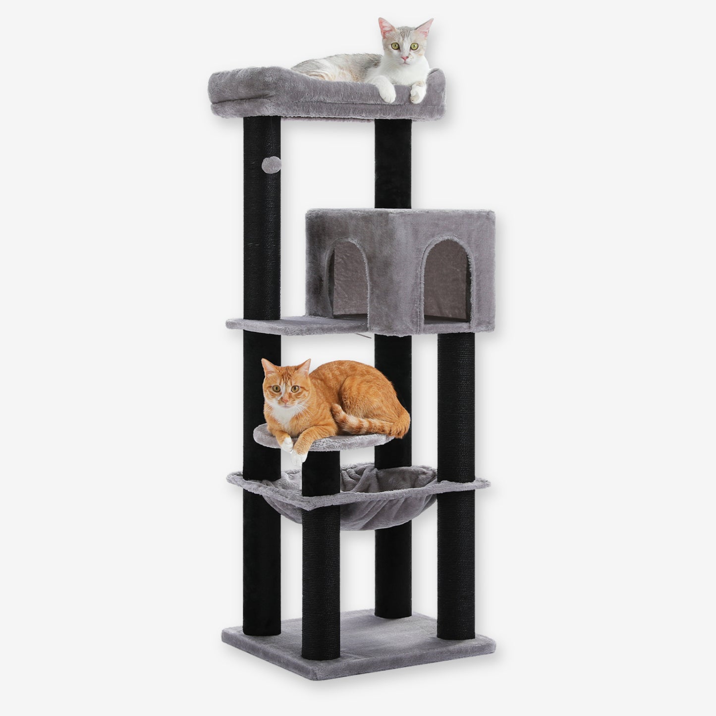 Grand Arbre à Chat Résistant