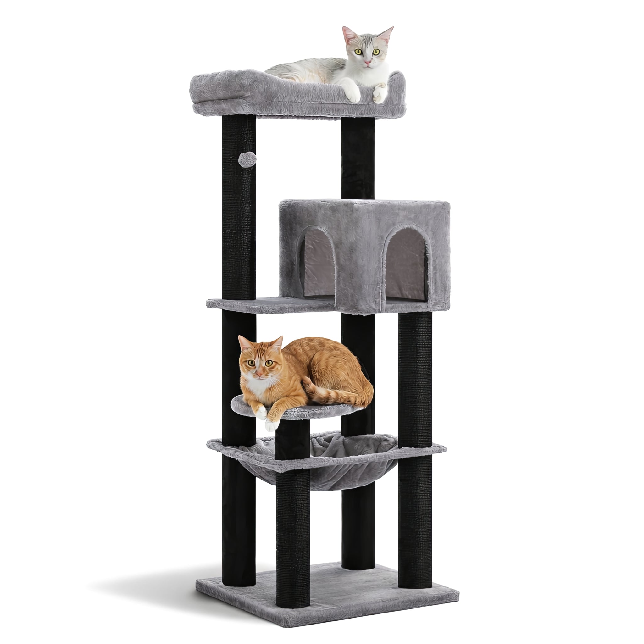 Grand Arbre à Chat Résistant