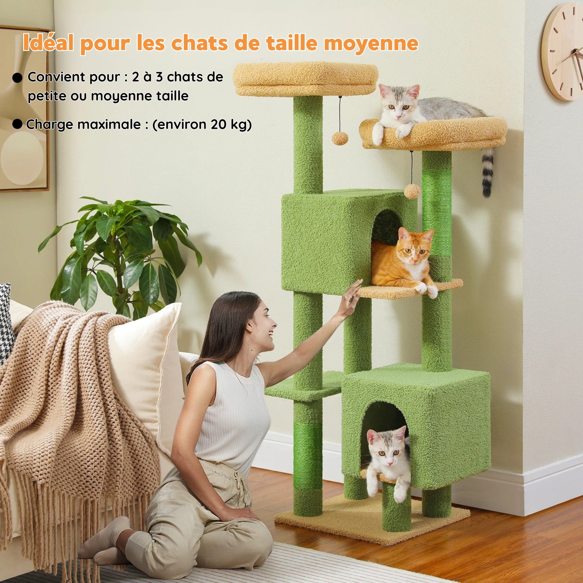 Grand Arbre à Chat Solide et Stable