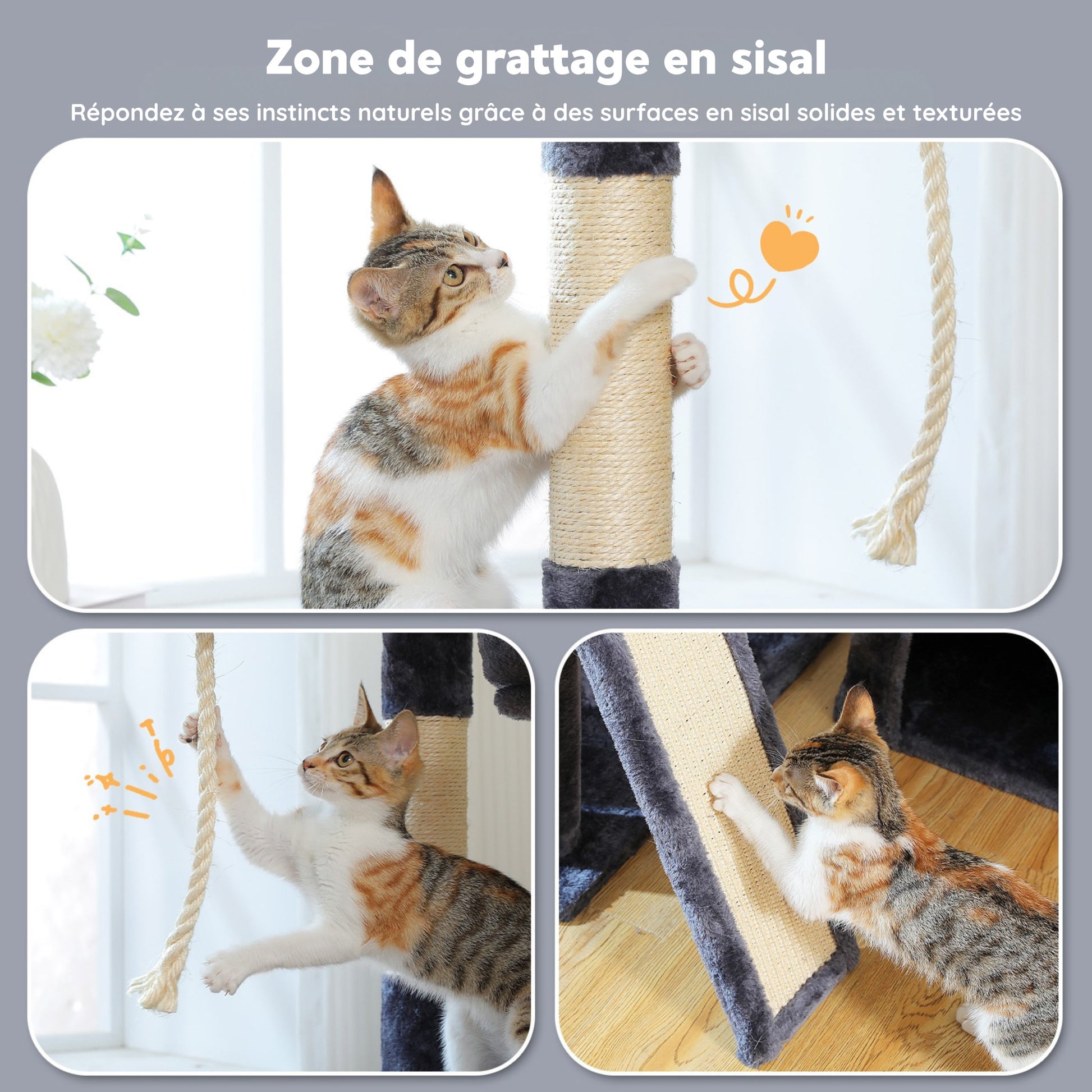 Grand Arbre à Chat d'angle