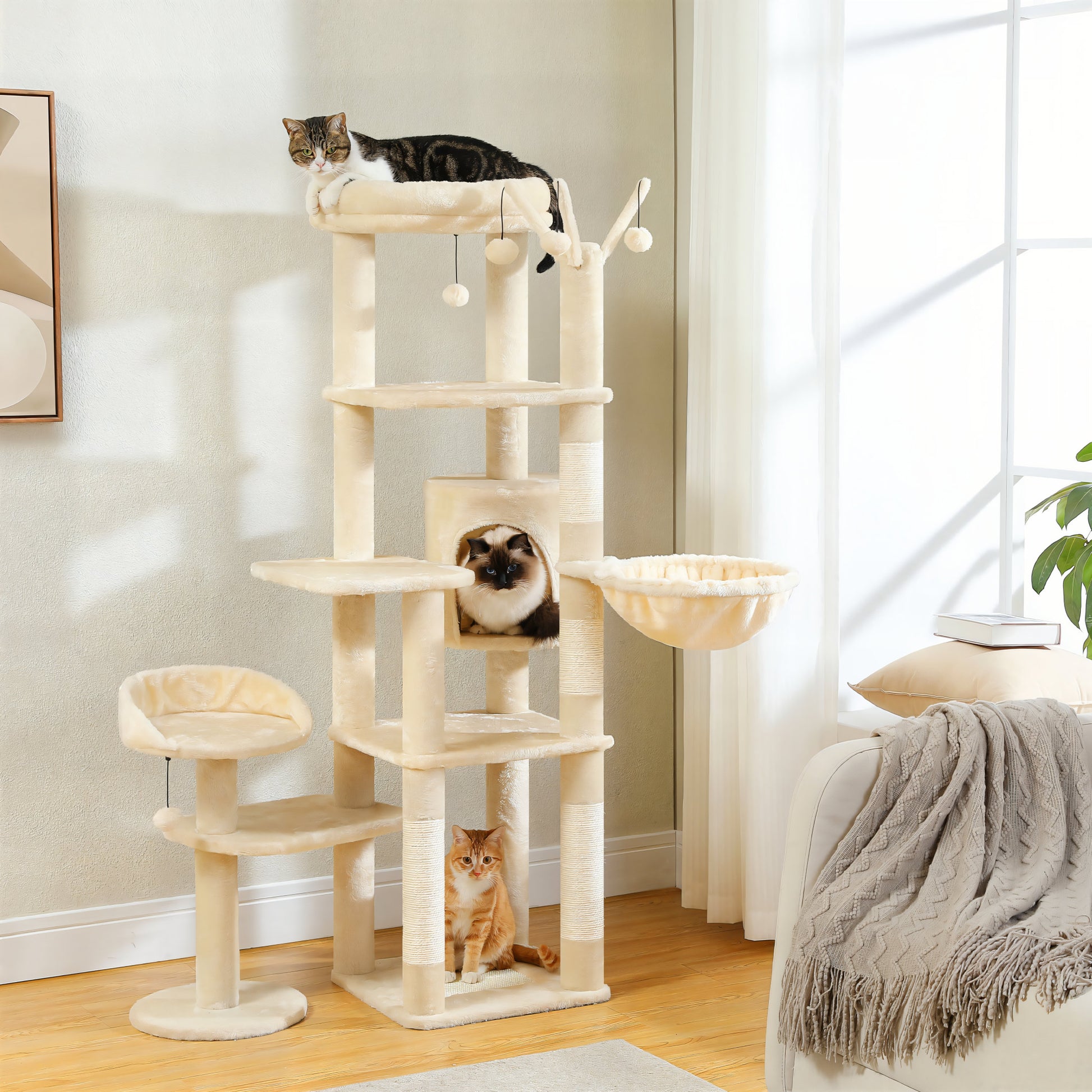 Grand Arbre à Chat pour Gros Chat